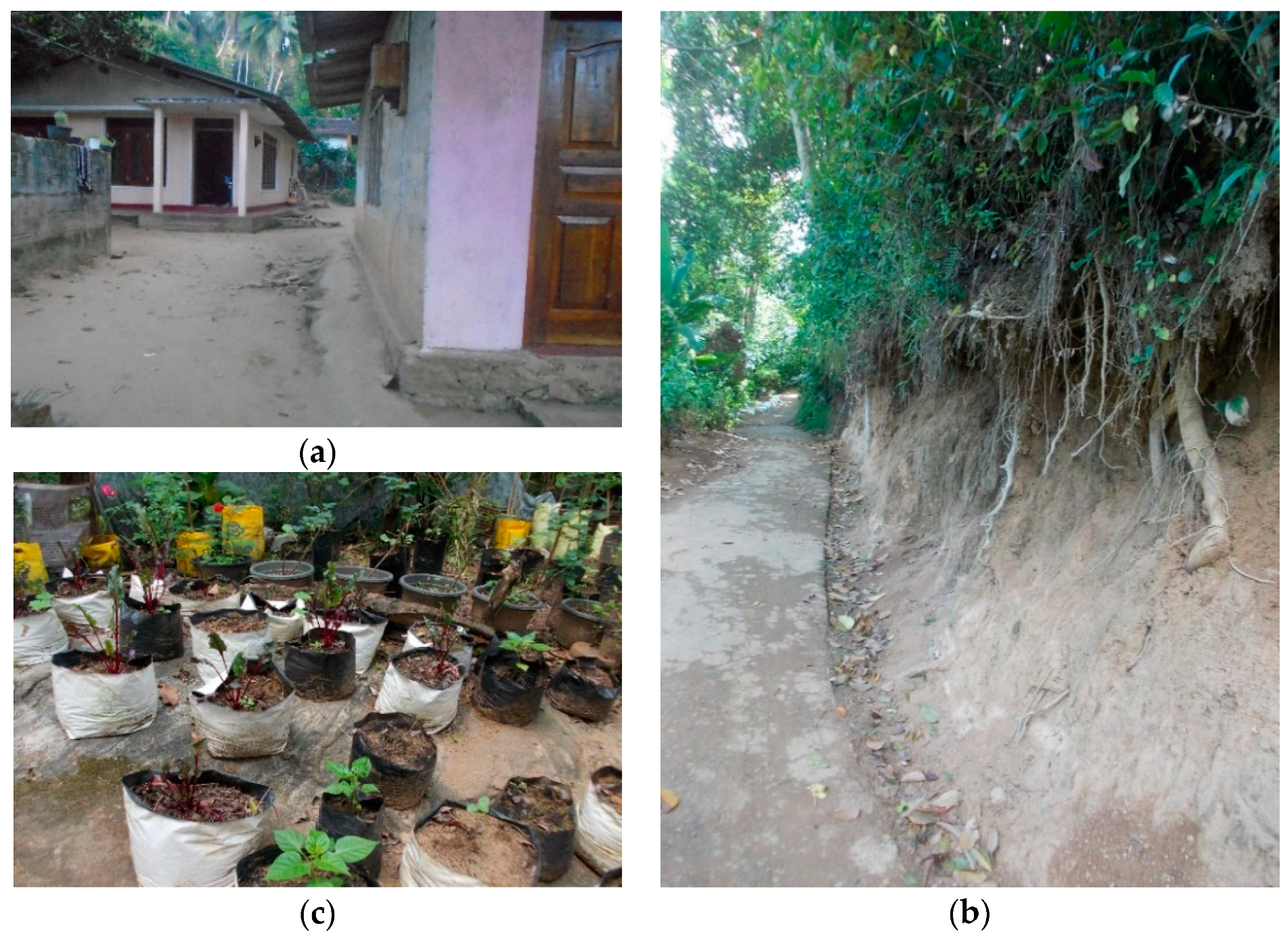 Sustainability 12 06866 g007 Sustainability 12 06866 g007