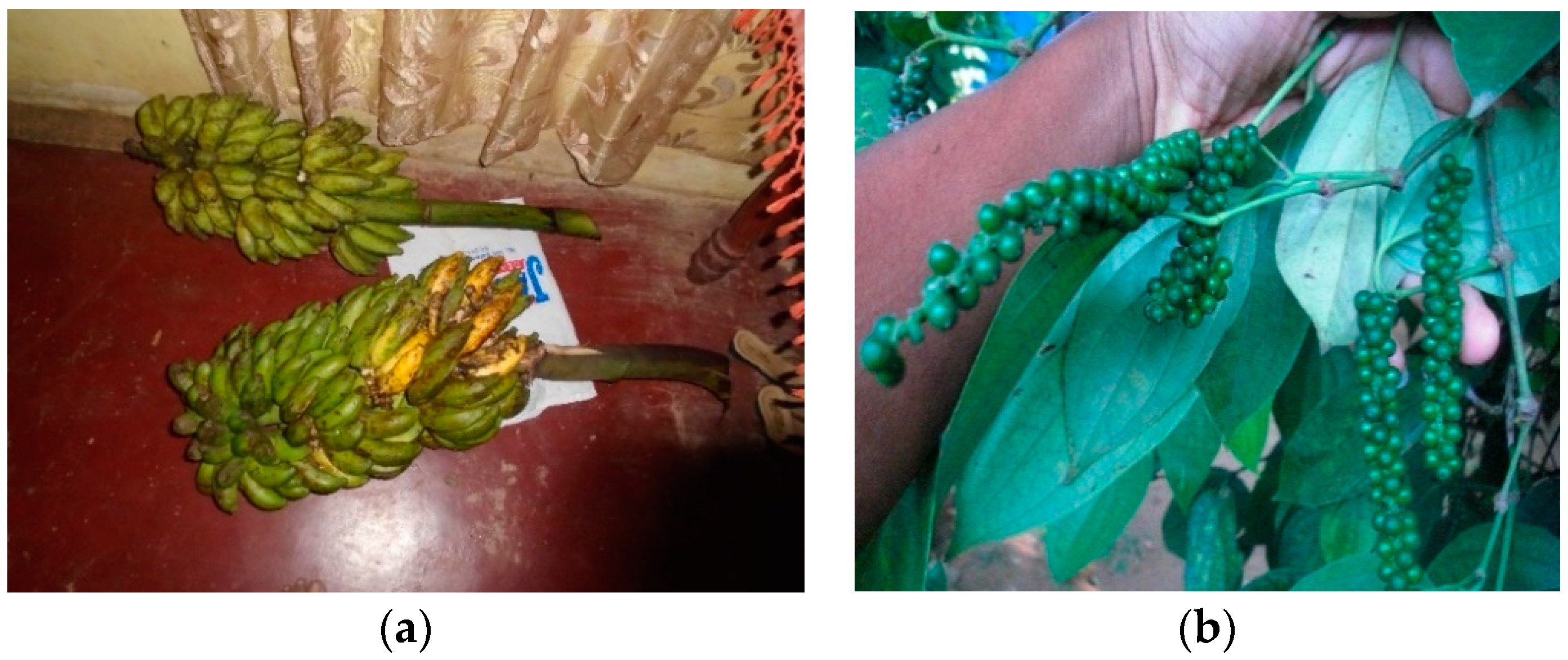 Sustainability 12 06866 g008a Sustainability 12 06866 g008a