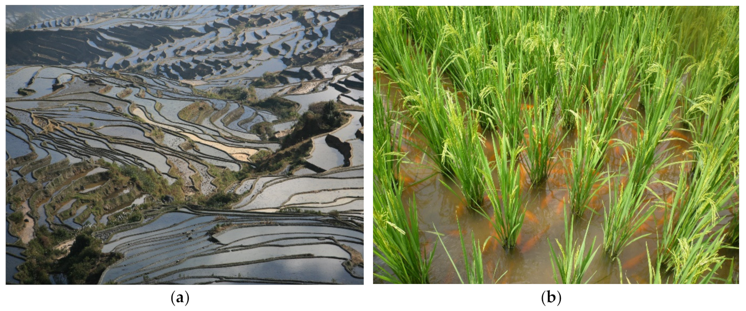 Sustainability 12 06921 g001 Sustainability 12 06921 g001