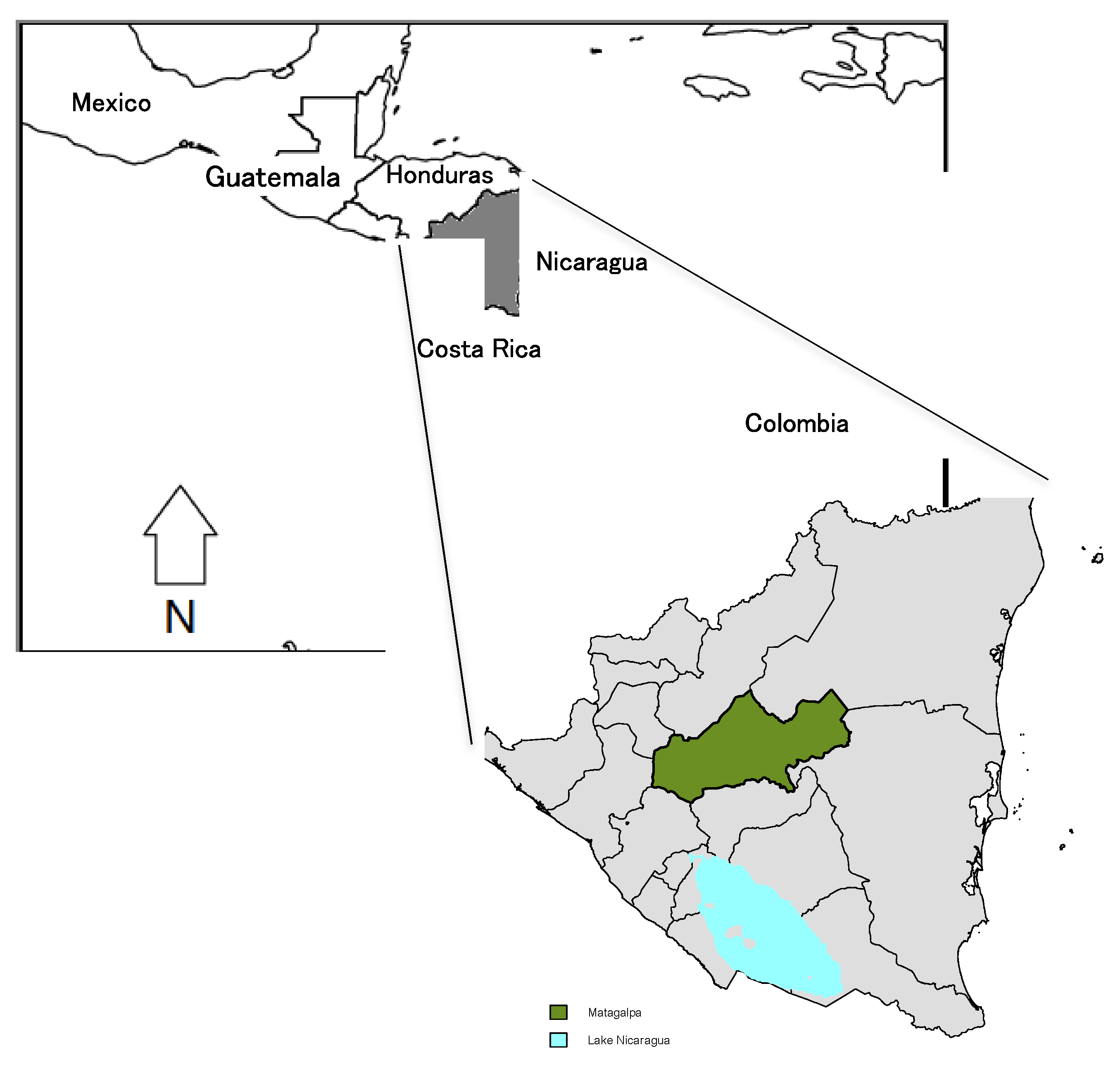 Sustainability 12 06946 g001