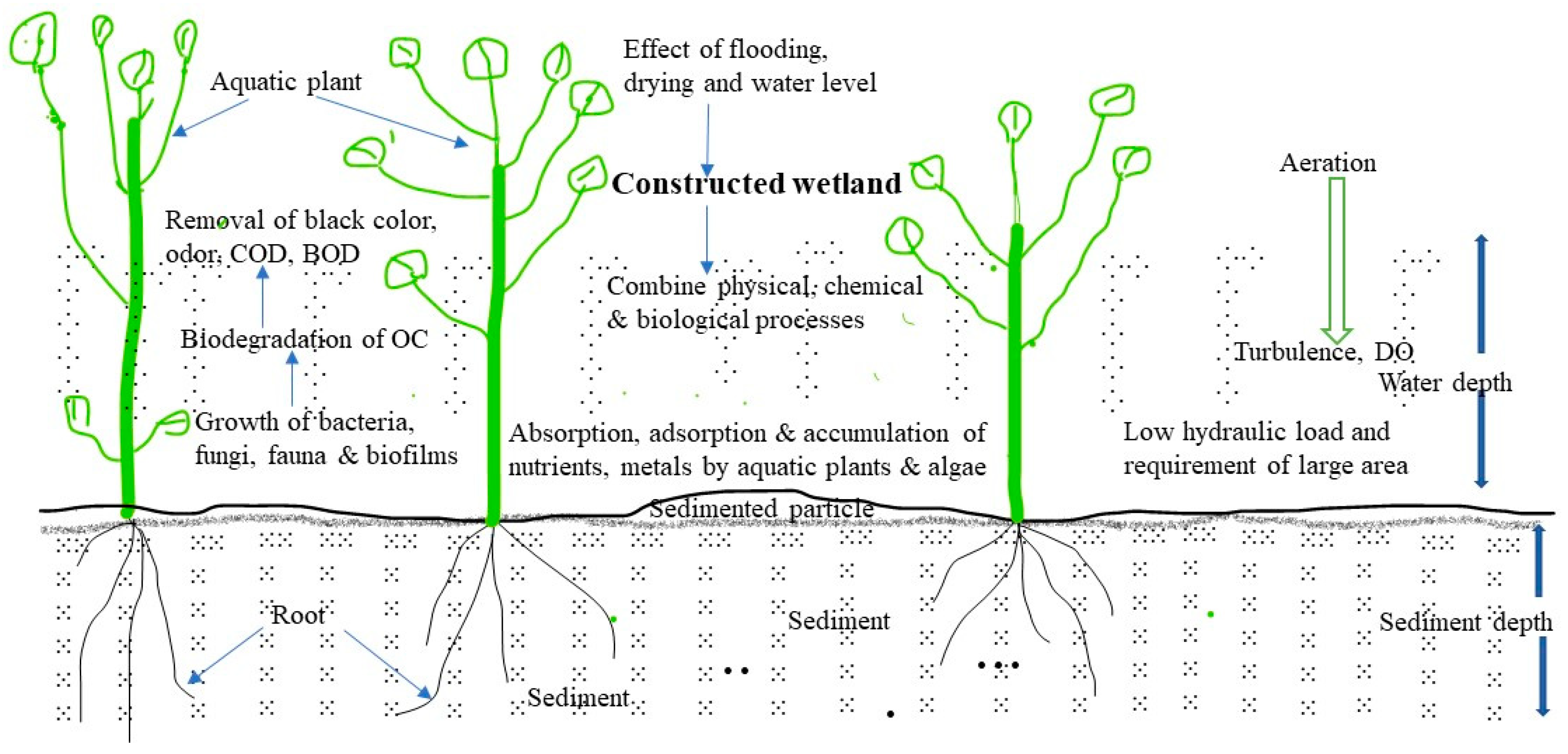 Sustainability 12 07017 g002 Sustainability 12 07017 g002