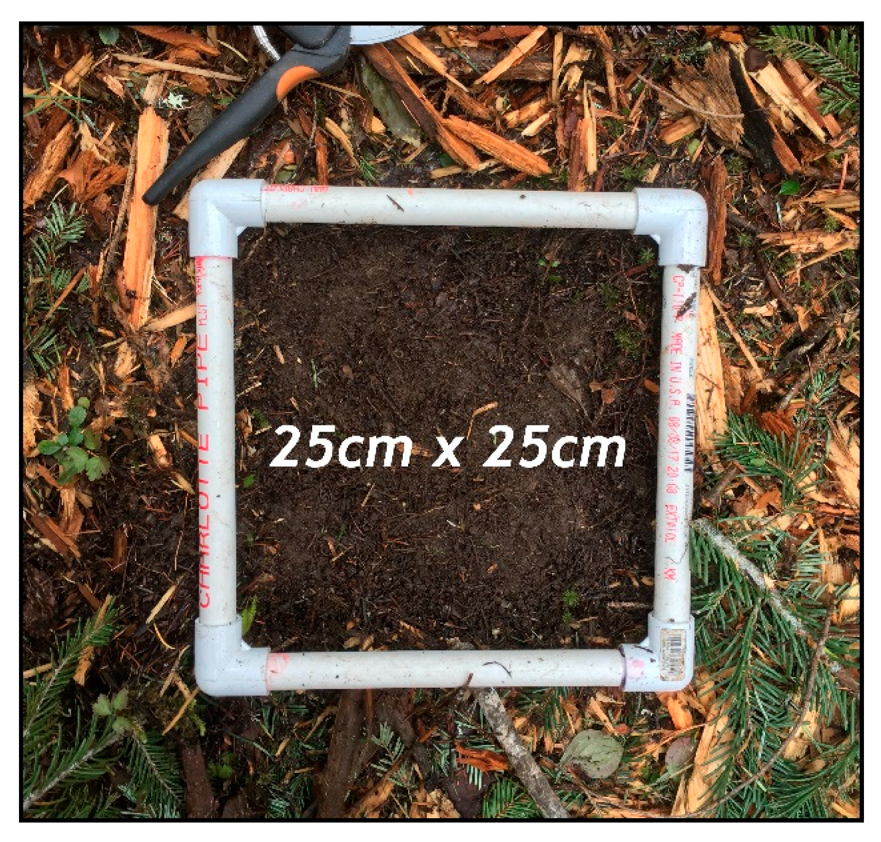 Sustainability 12 07025 g005