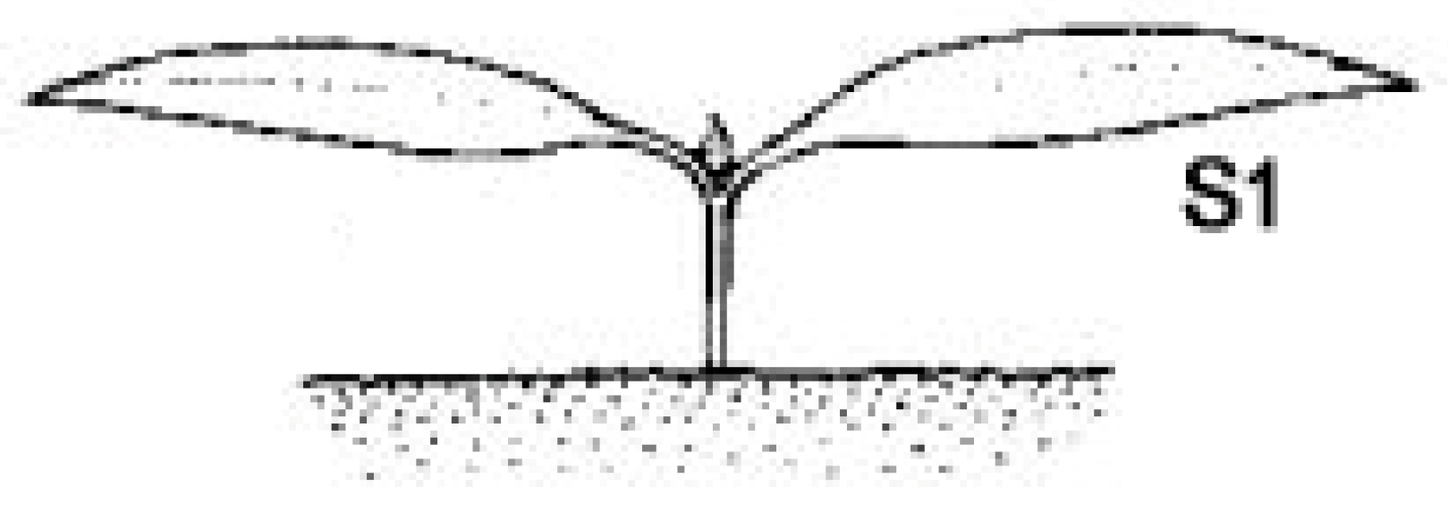 Sustainability 12 07052 g001