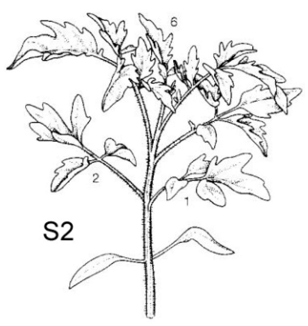 Sustainability 12 07052 g002