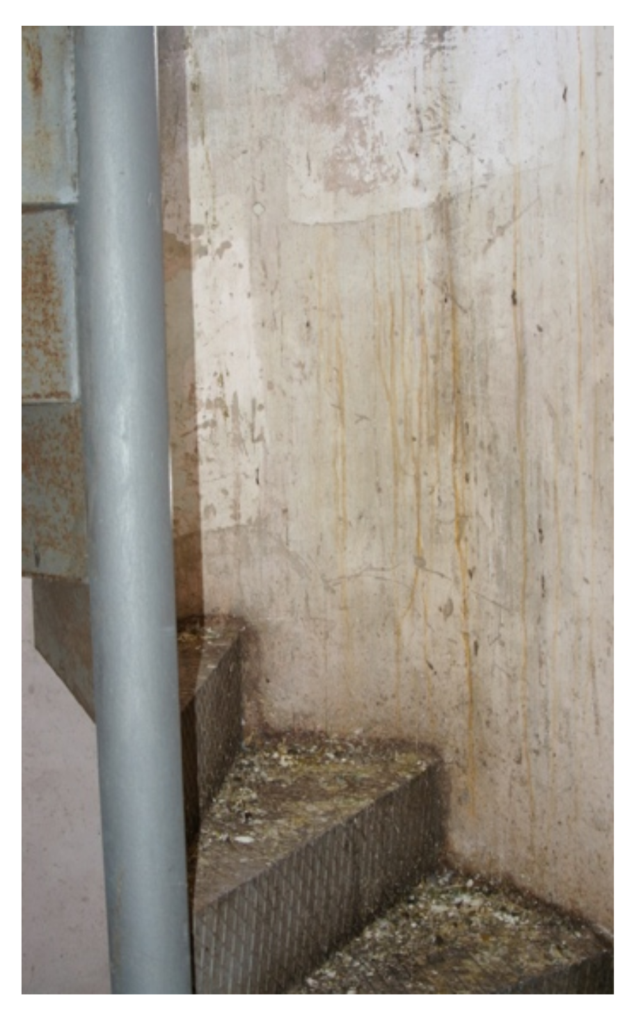 Sustainability 12 07104 g011 Sustainability 12 07104 g011