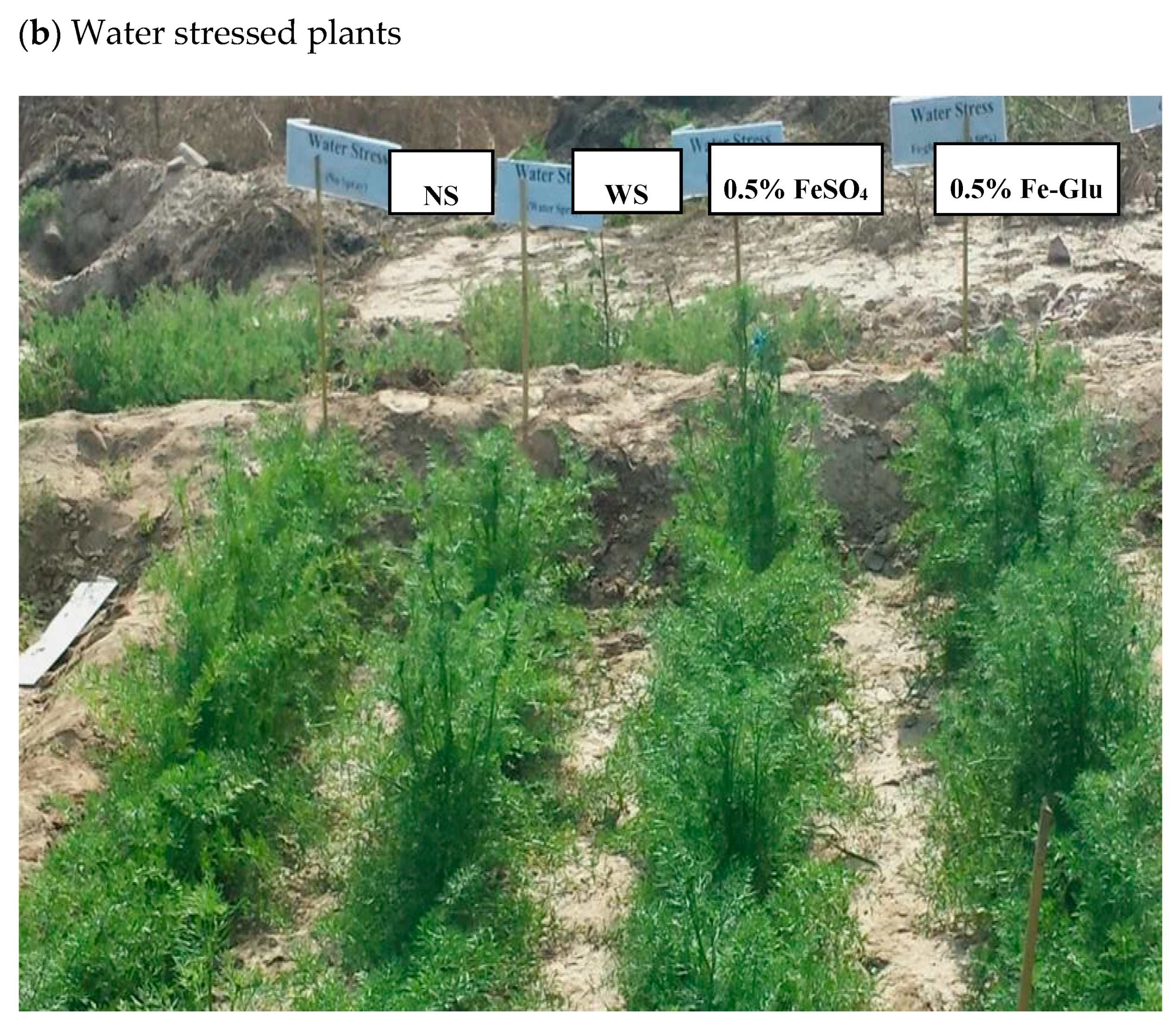 Sustainability 12 07119 g002b Sustainability 12 07119 g002b