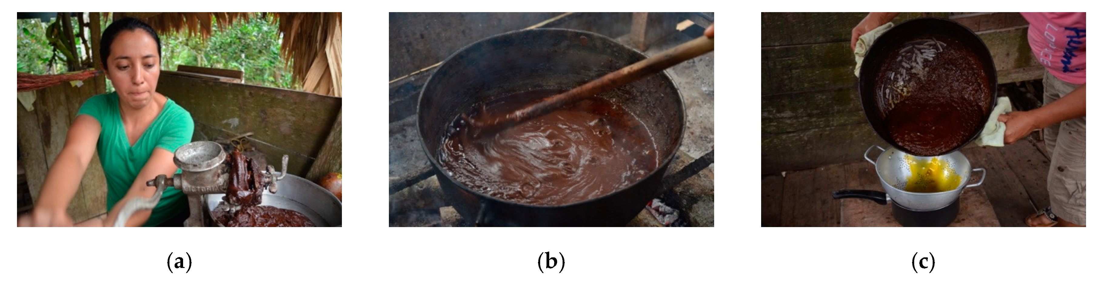 Sustainability 12 07120 g003