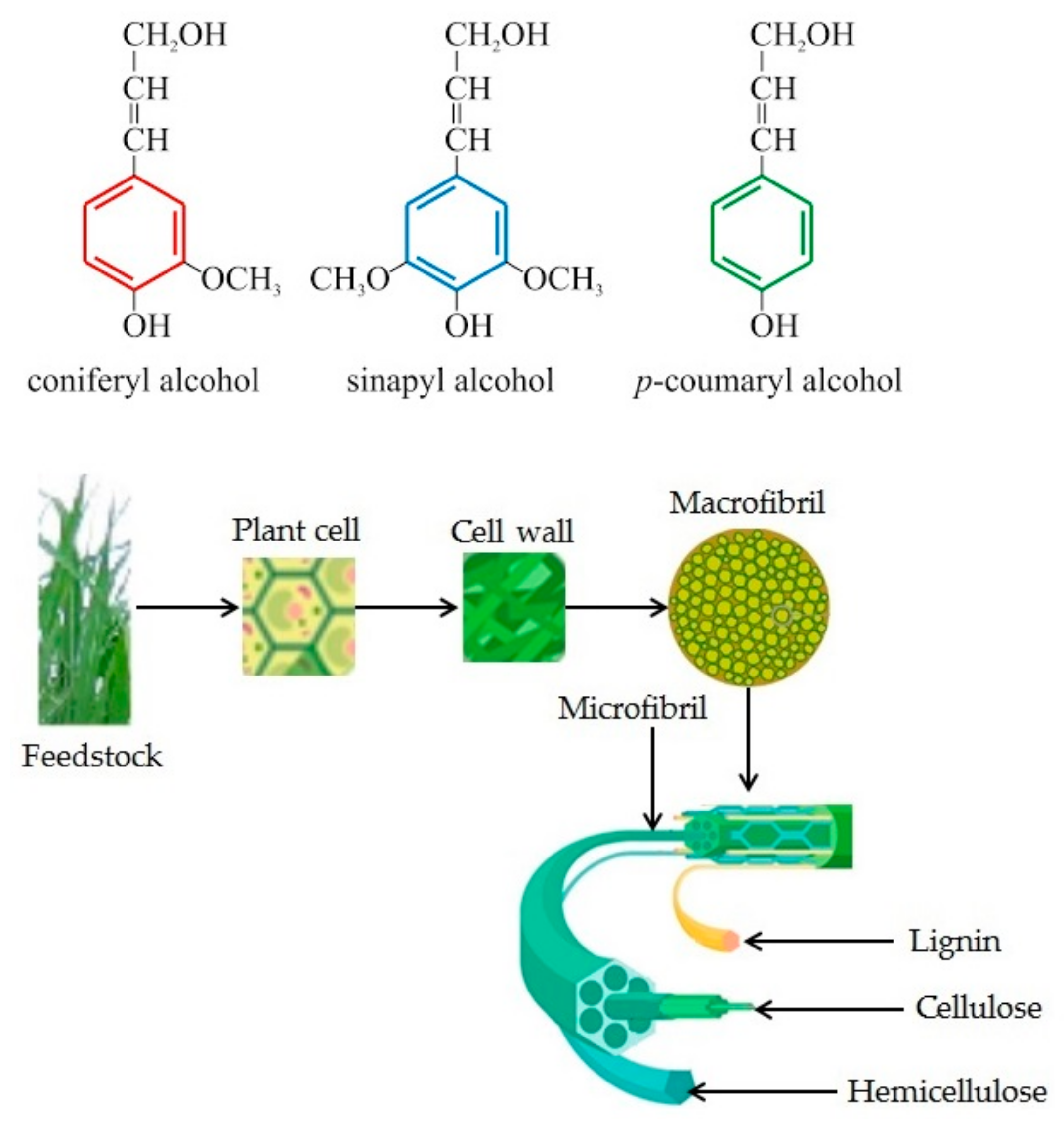 Sustainability 12 07205 g001
