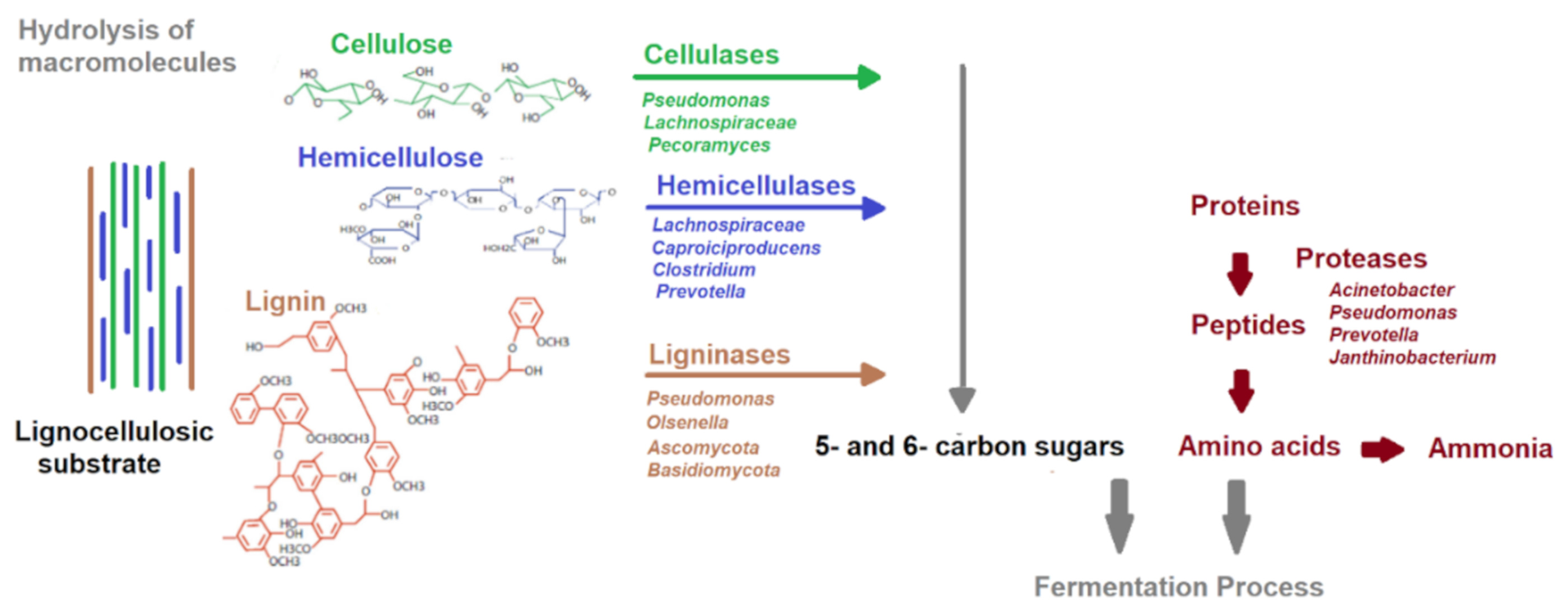 Sustainability 12 07205 g002