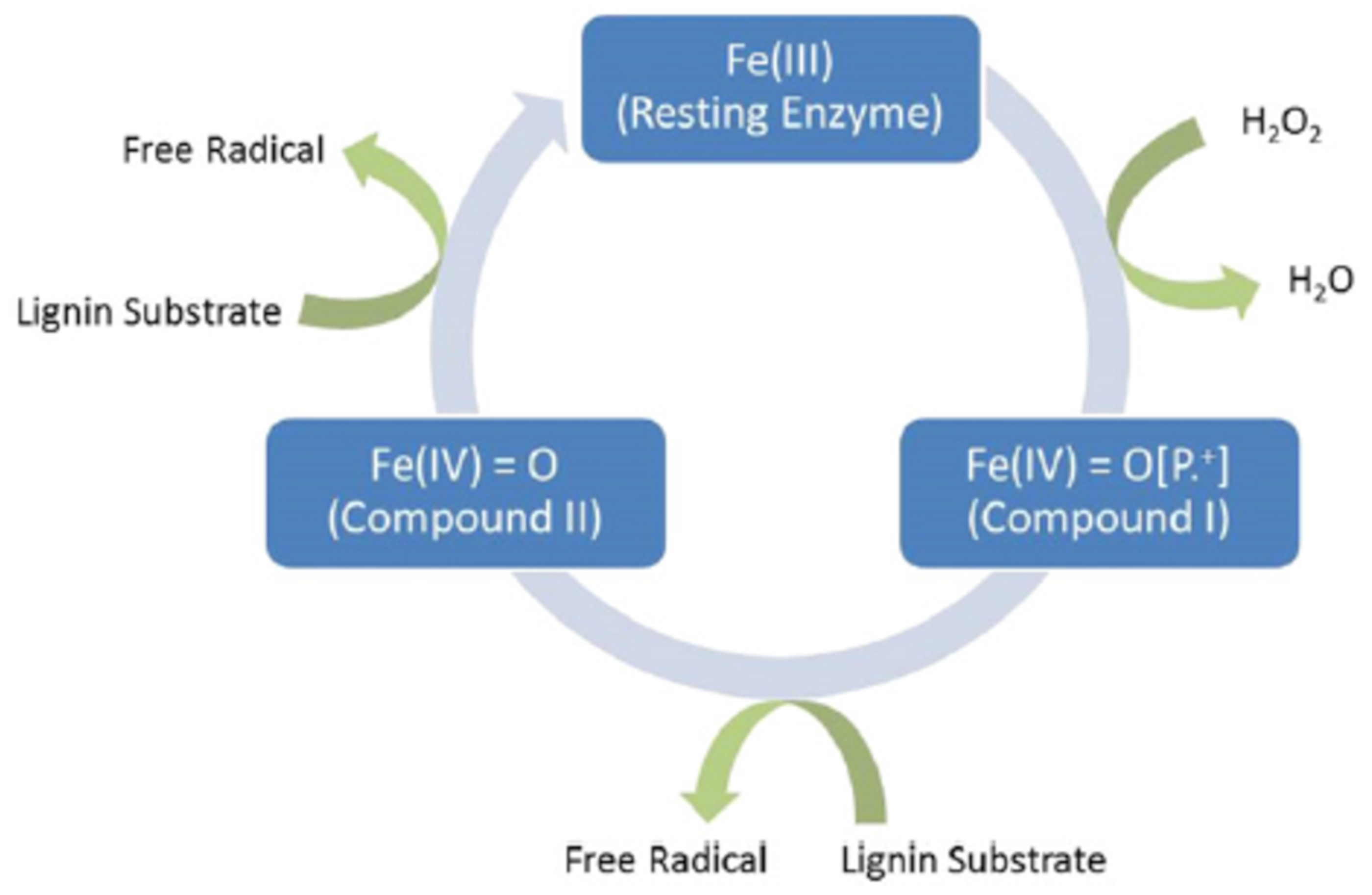 Sustainability 12 07205 g005
