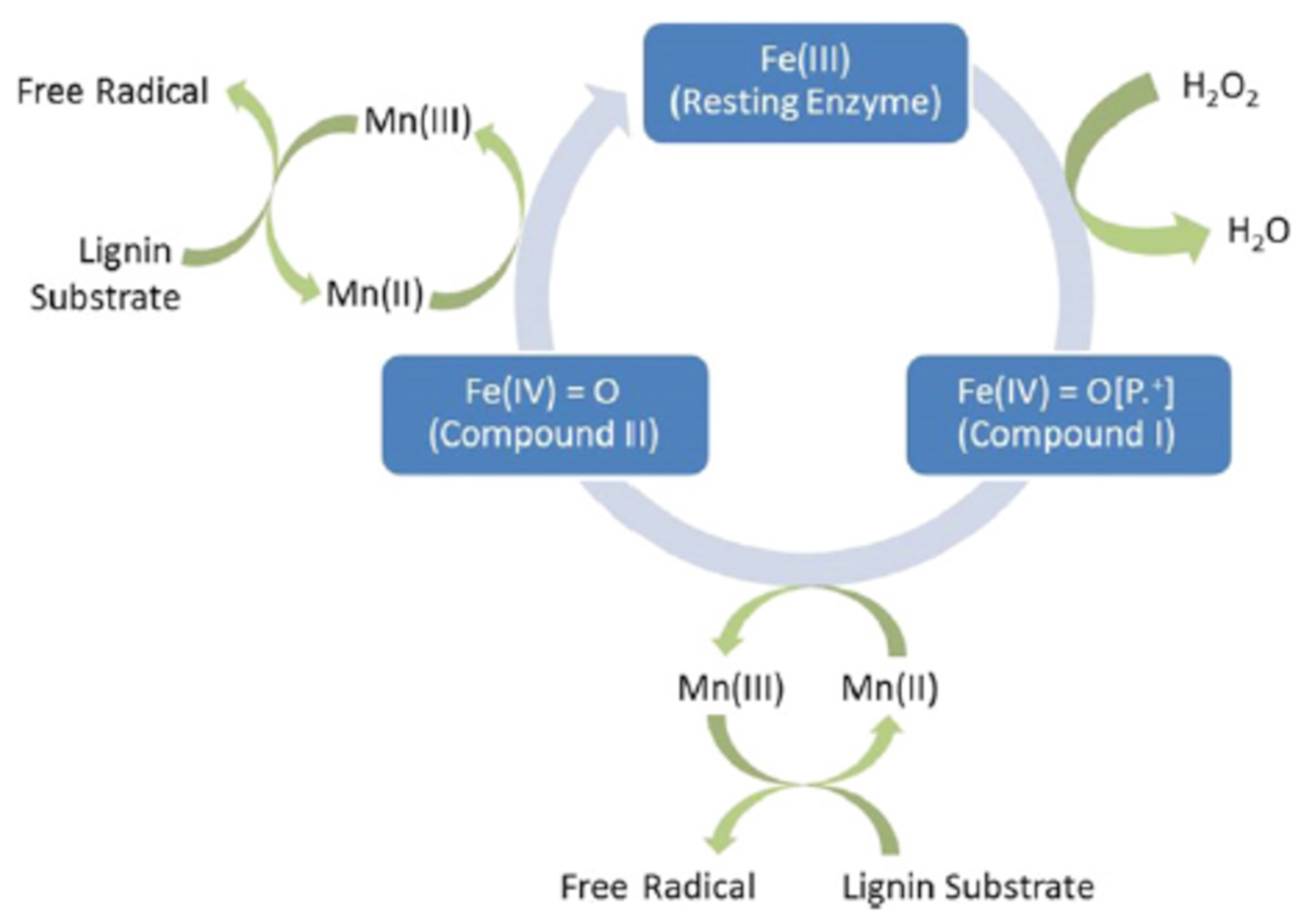 Sustainability 12 07205 g006