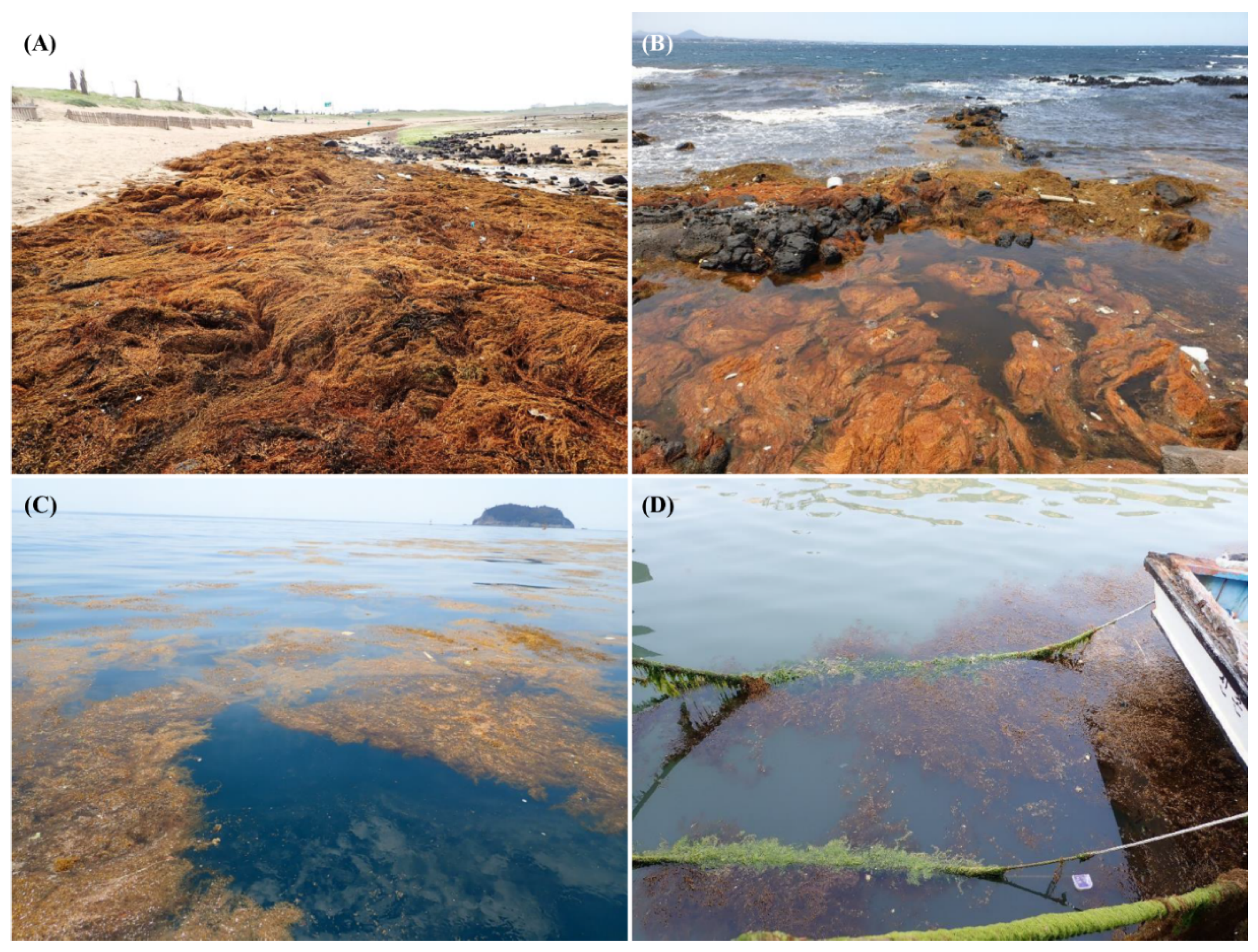 Sustainability 12 07280 g001 Sustainability 12 07280 g001