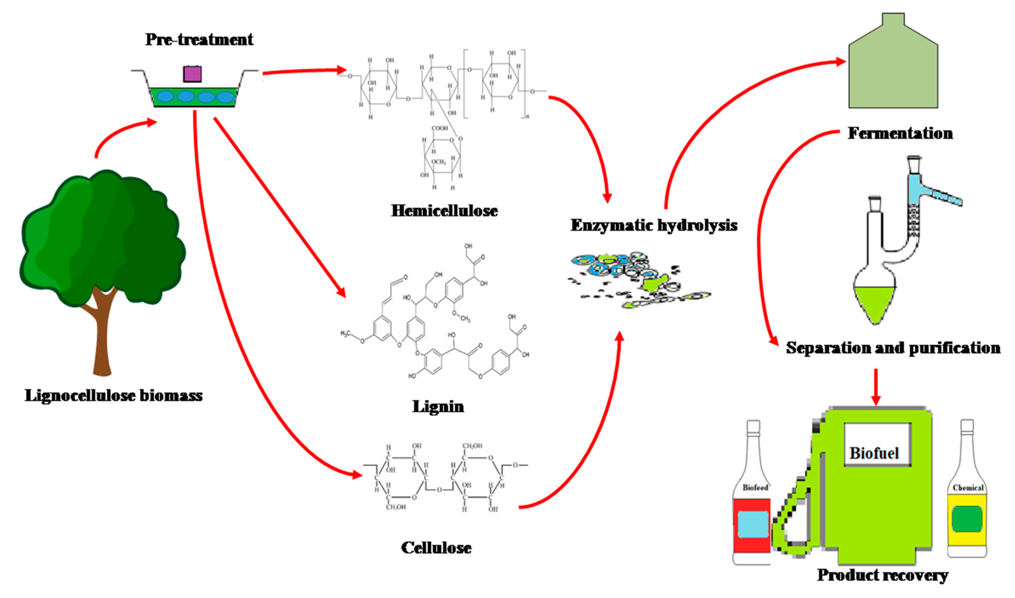 Sustainability 12 07282 g002 Sustainability 12 07282 g002