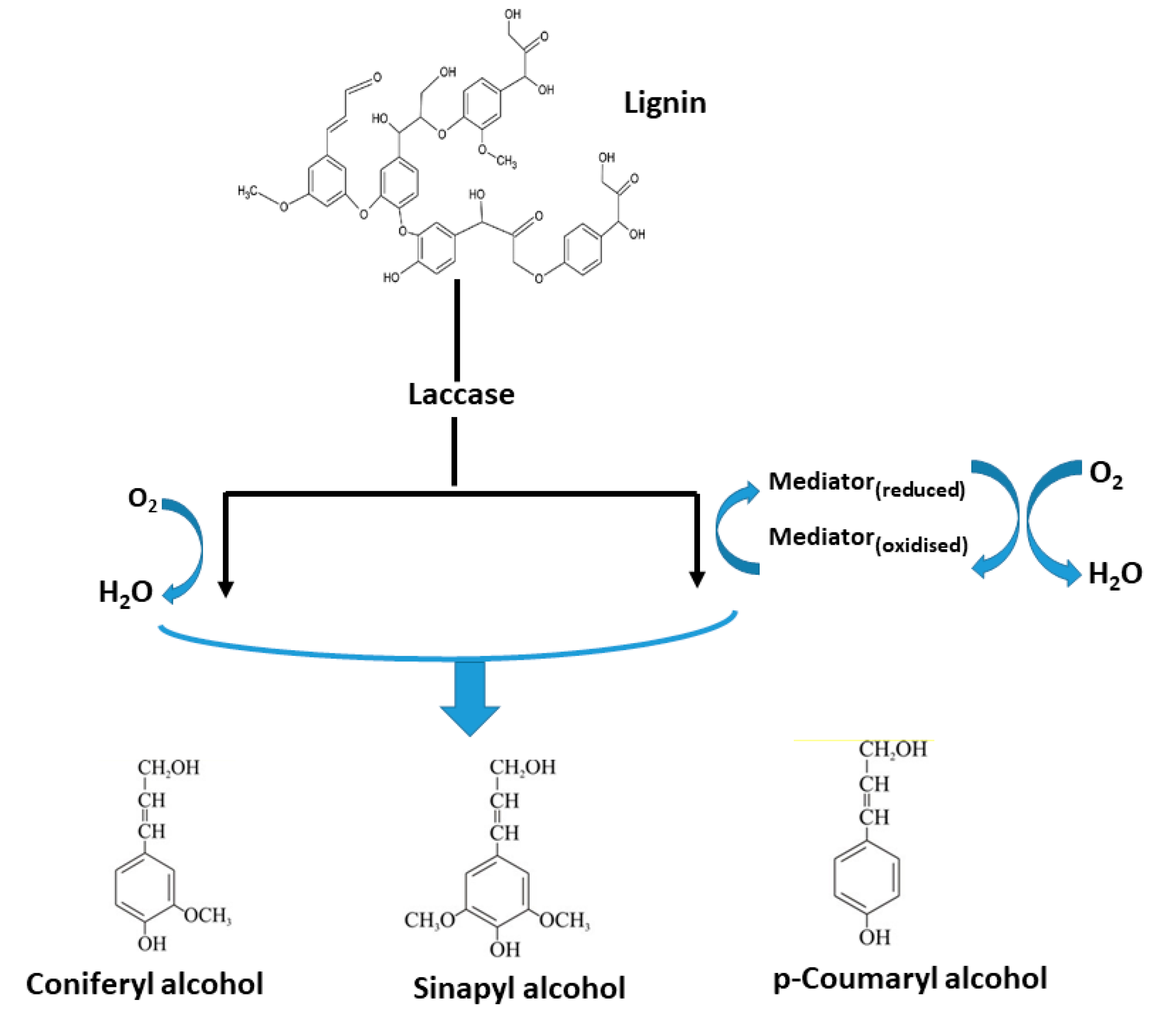 Sustainability 12 07282 g004 Sustainability 12 07282 g004