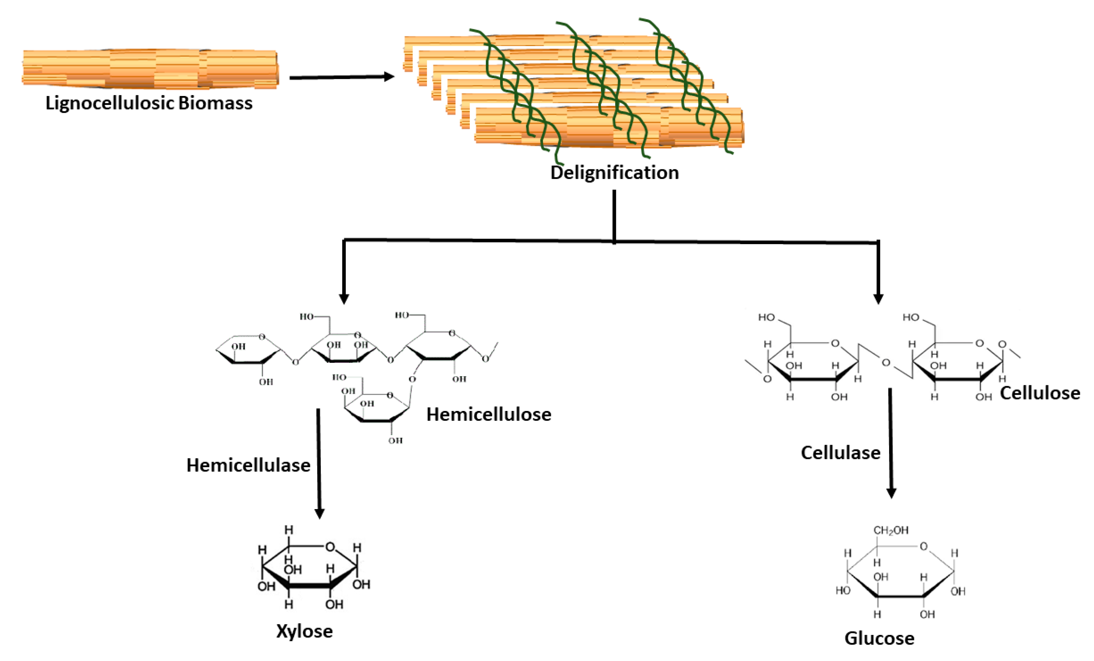 Sustainability 12 07282 g007 Sustainability 12 07282 g007