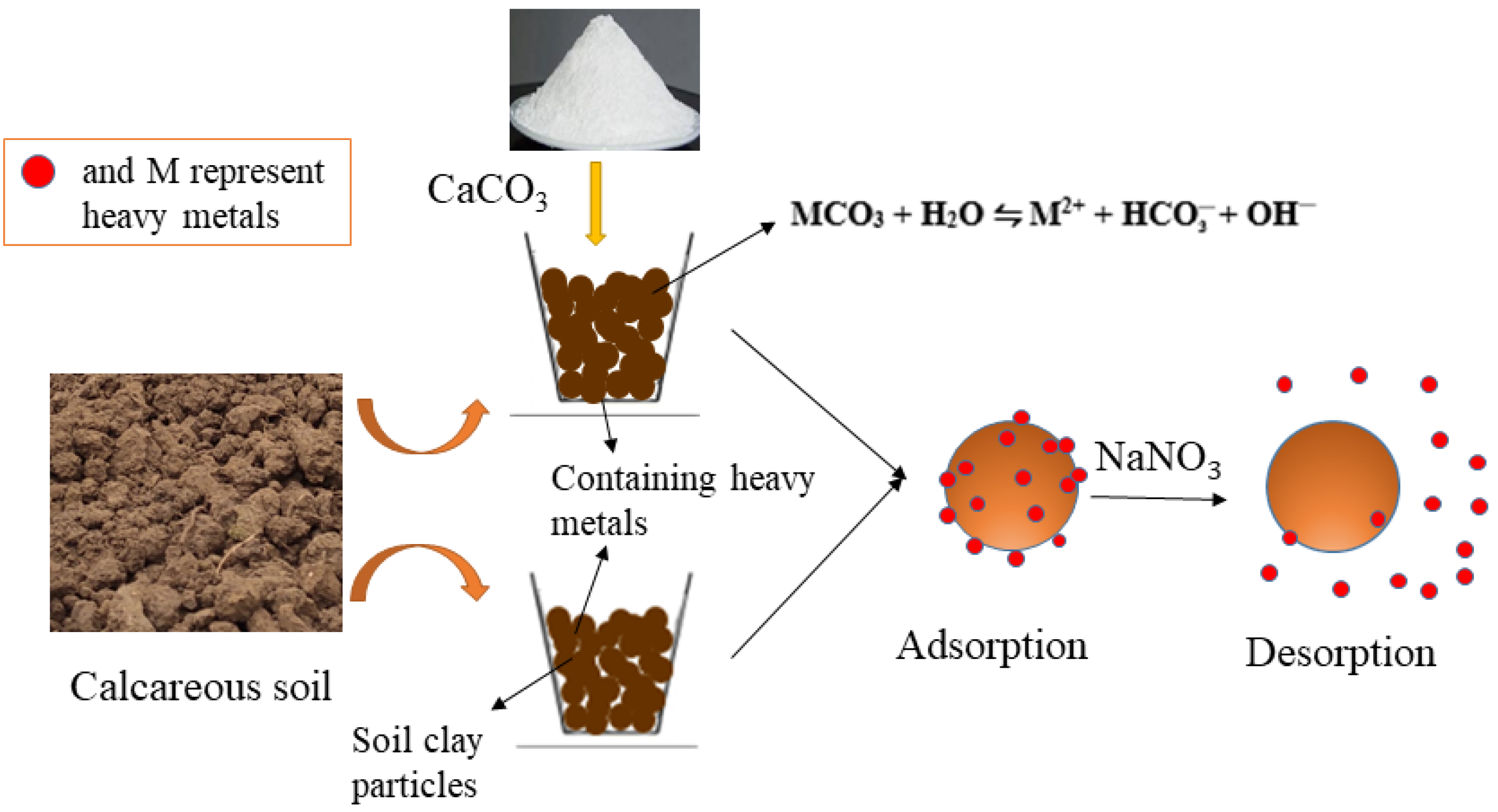 Sustainability Free FullText Adsorption of Heavy Metals on Soil