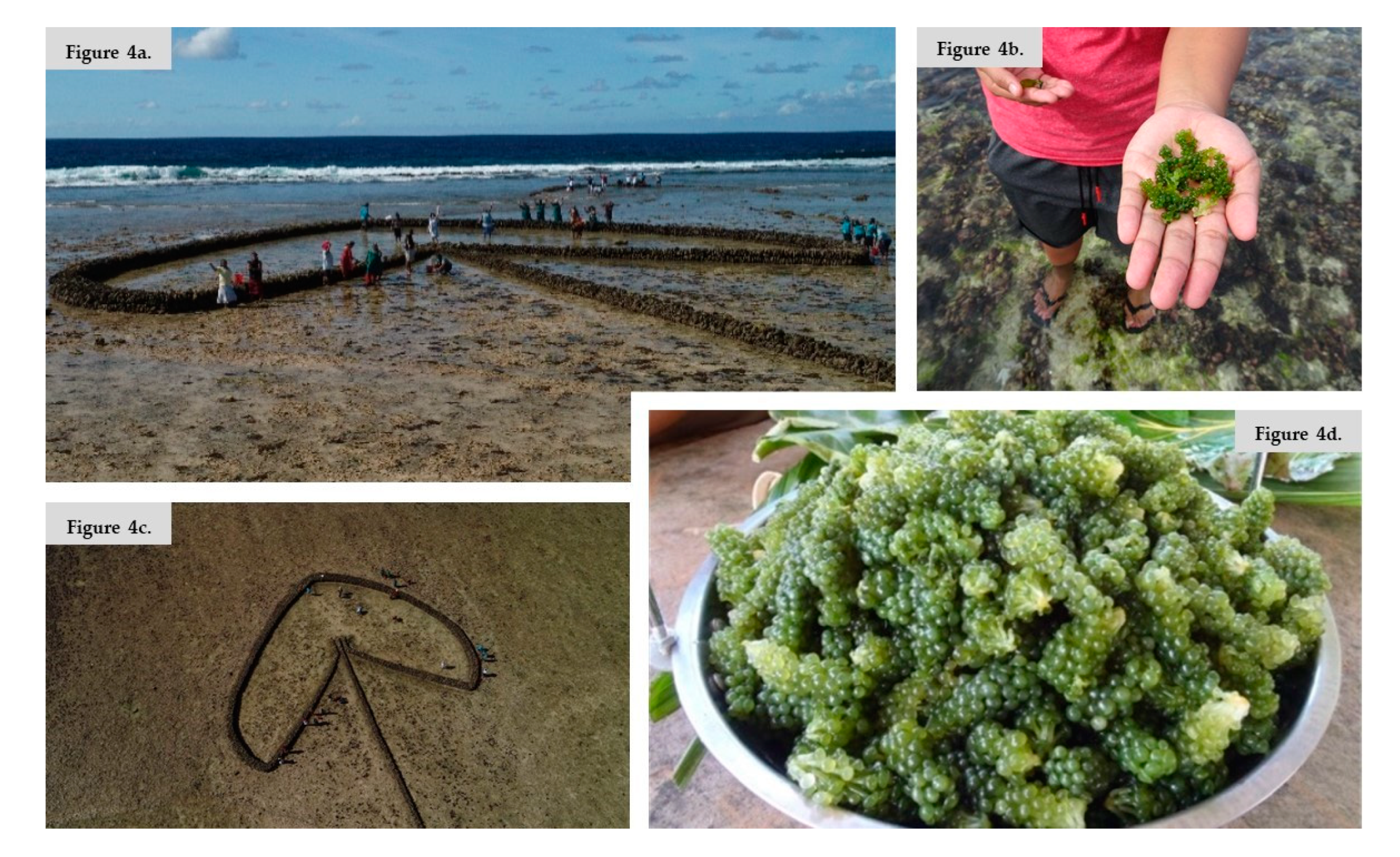 Sustainability 12 07356 g004