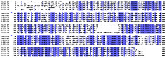 Sustainability Free Full Text Overexpression Of Citrate Synthase Increases Isocitric Acid Biosynthesis In The Yeast Yarrowia Lipolytica Html