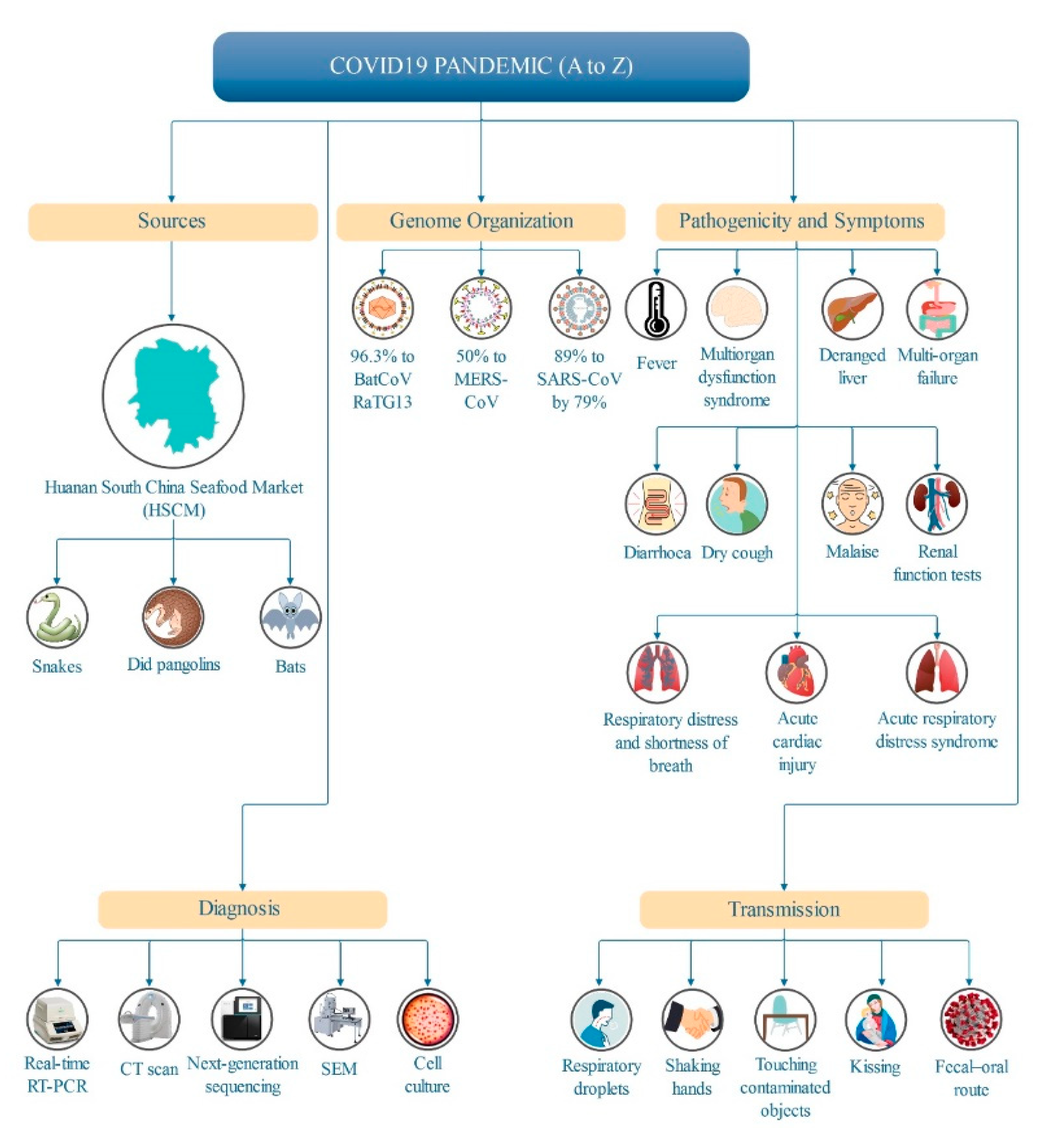 Sustainability 12 07378 g004