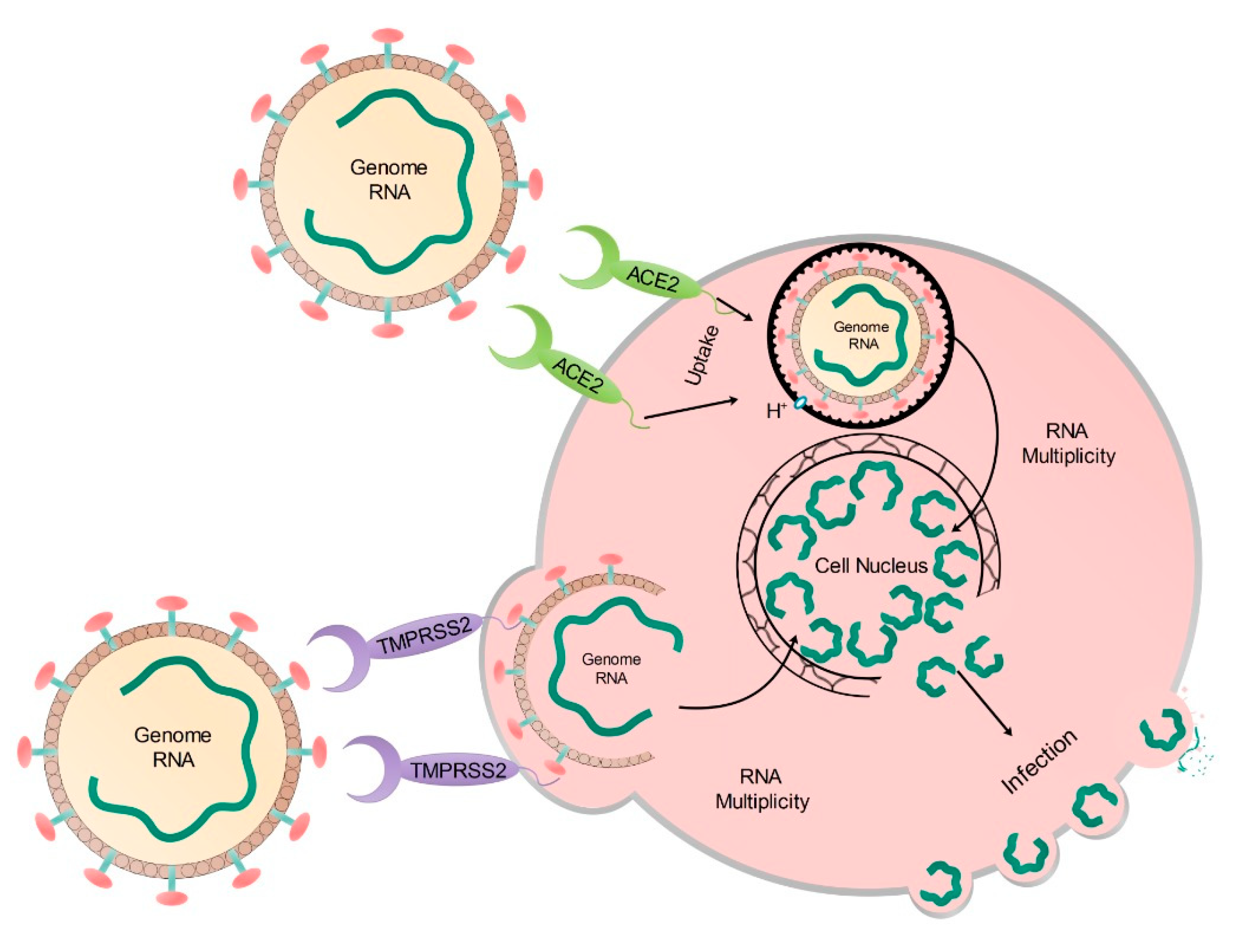 Sustainability 12 07378 g005