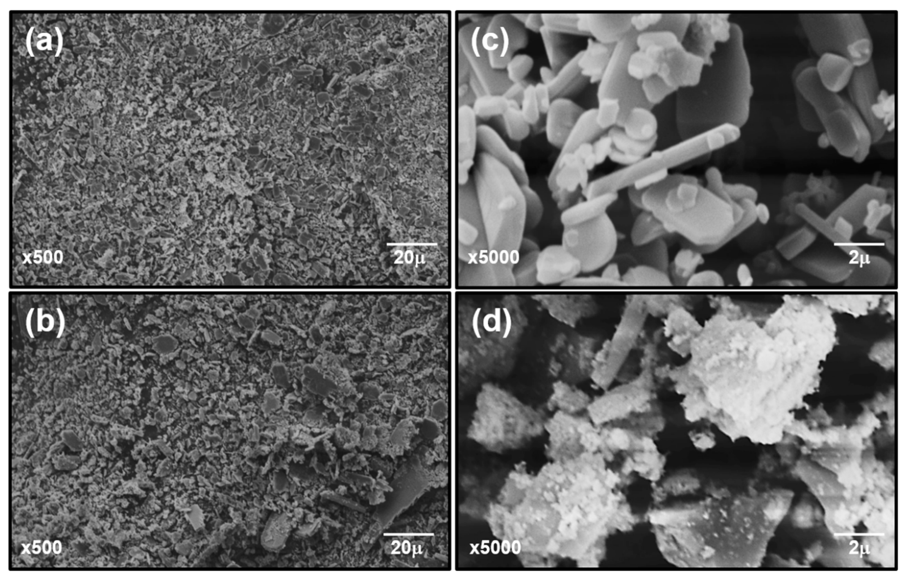 Sustainability 12 07393 g004 Sustainability 12 07393 g004