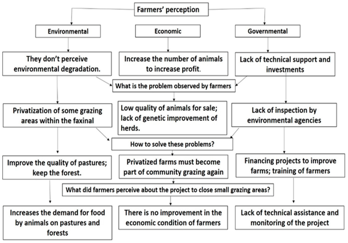 Sustainability 12 07456 g005