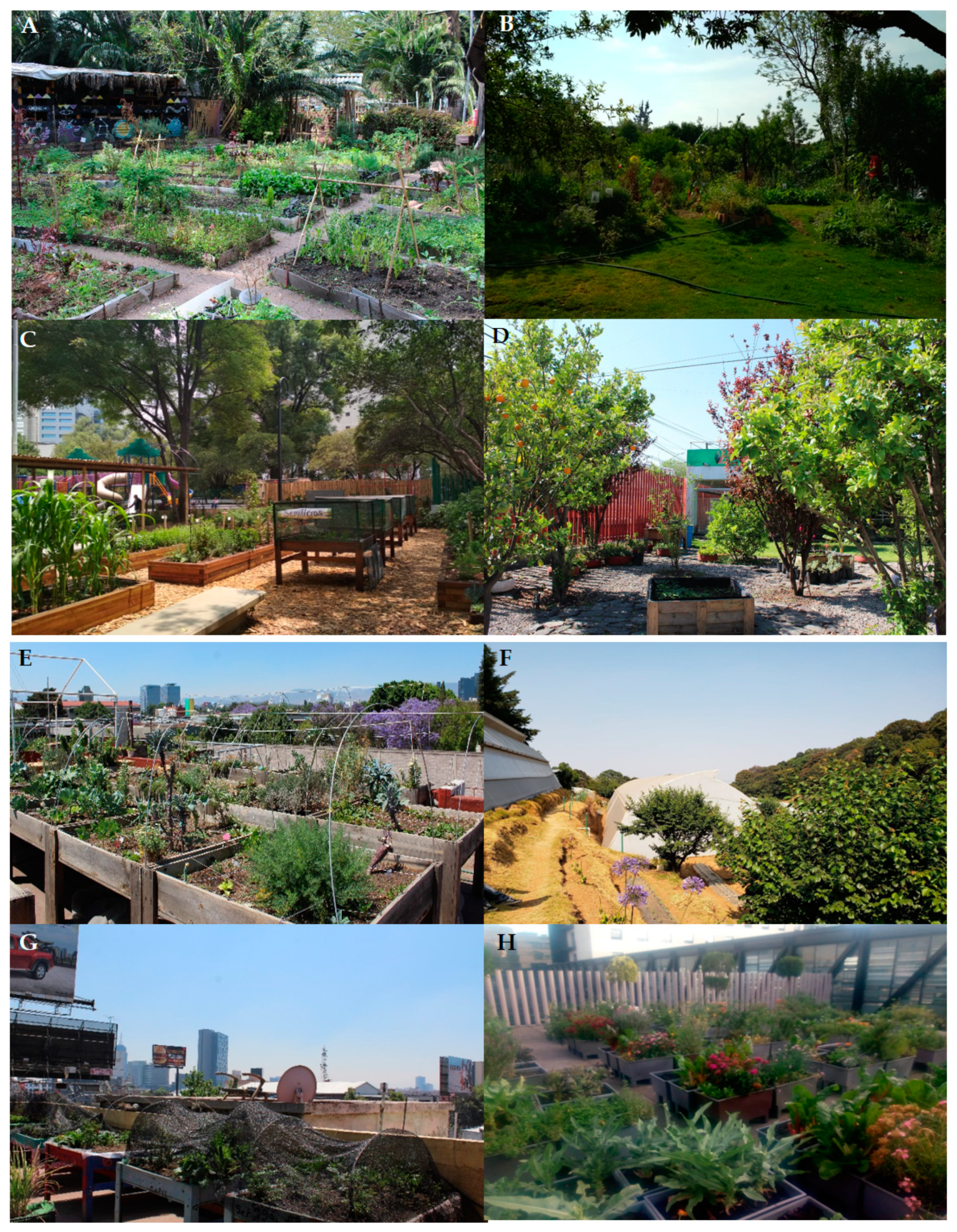 Sustainability 12 07562 g003 Sustainability 12 07562 g003