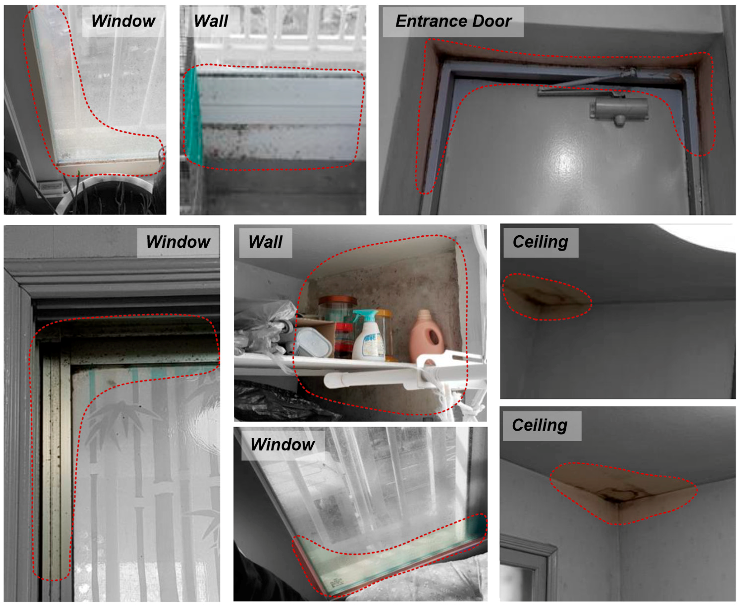 Sustainability 12 07563 g001 Sustainability 12 07563 g001