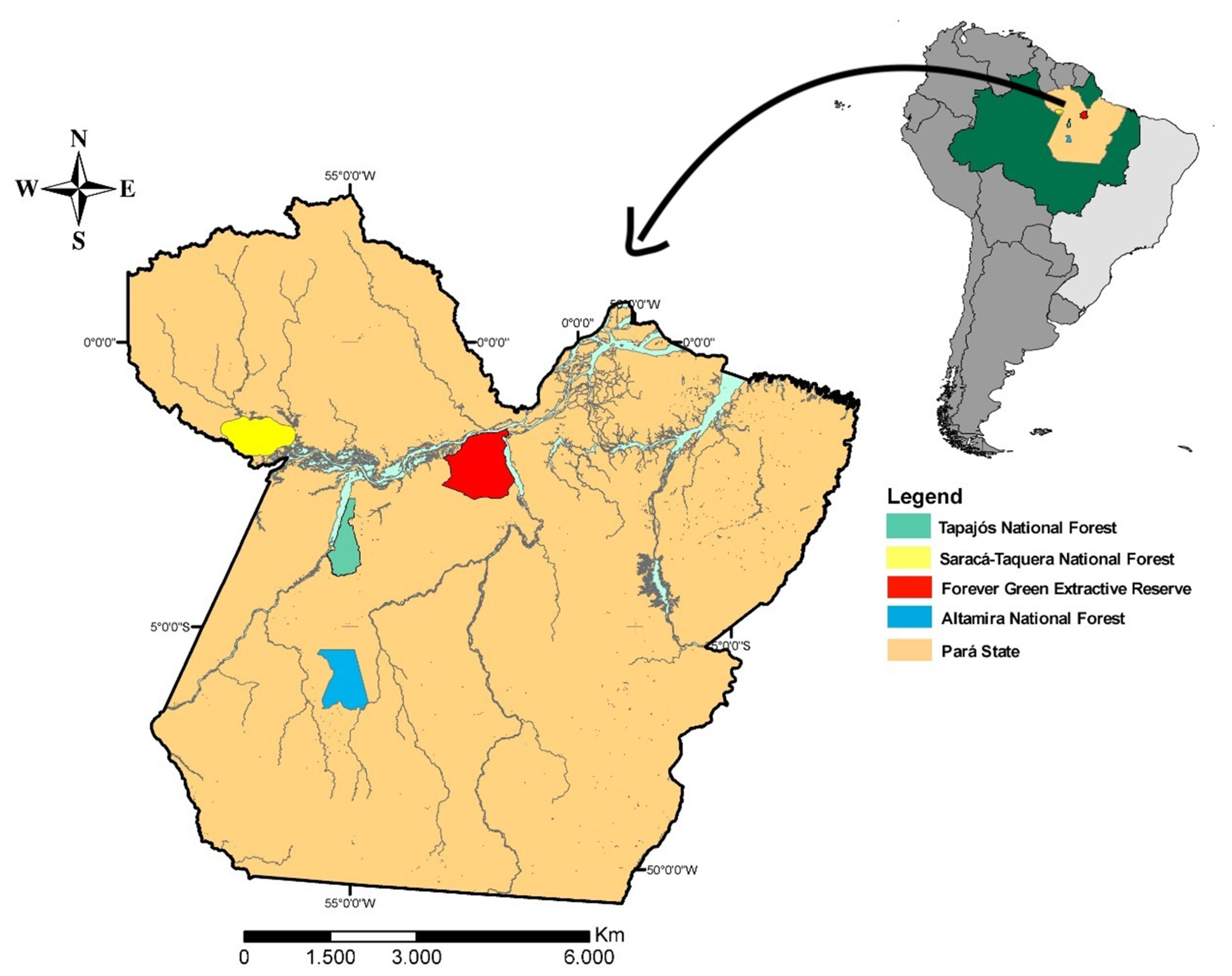 Sustainability 12 07571 g001 Sustainability 12 07571 g001