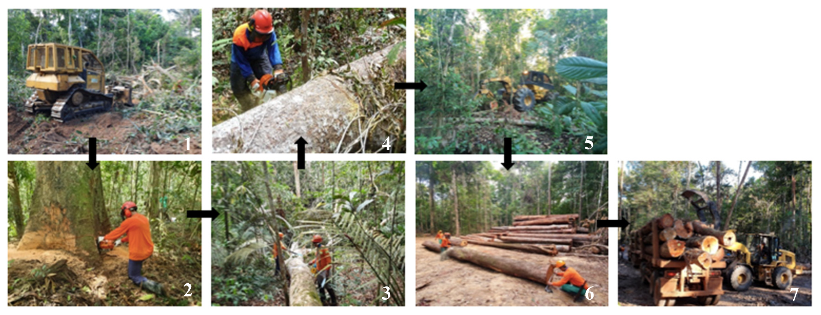 Sustainability 12 07571 g003 Sustainability 12 07571 g003