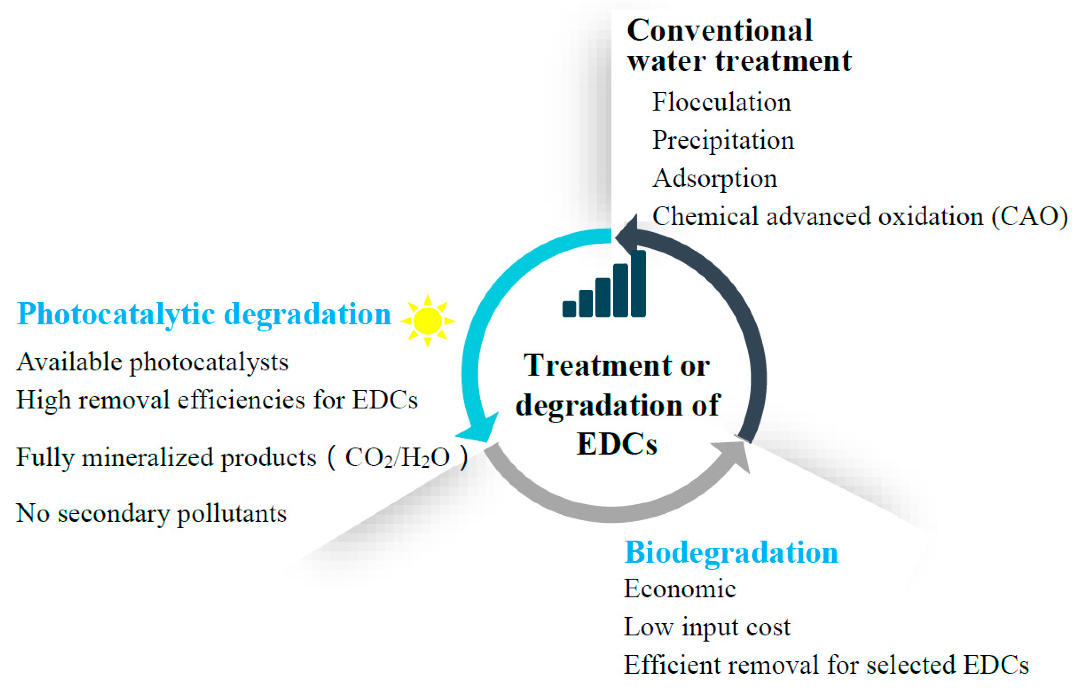 Sustainability 12 07615 g001