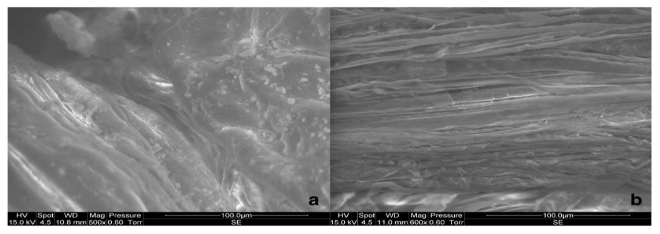 Sustainability 12 07683 g003