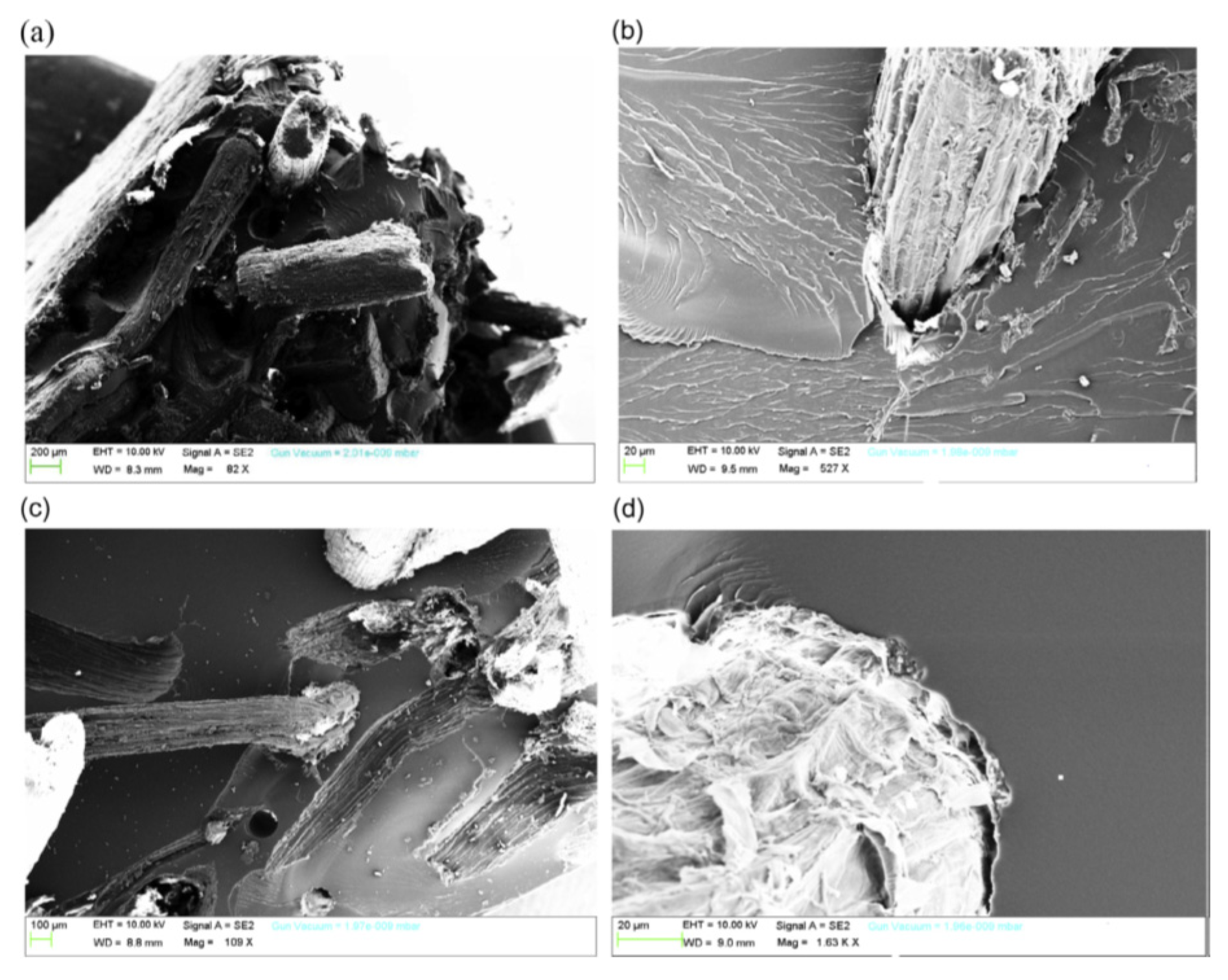 Sustainability 12 07683 g005