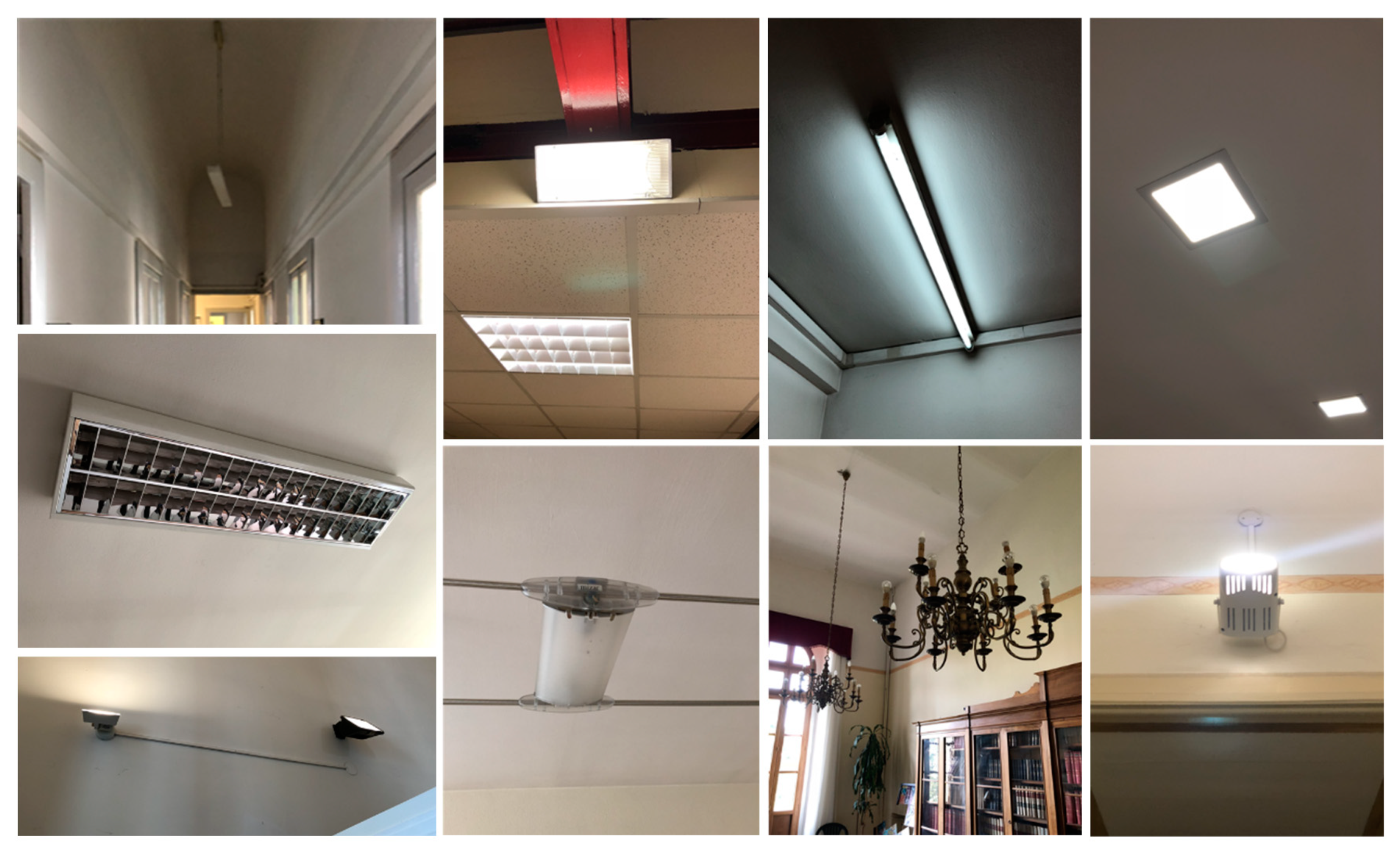 Sustainability 12 07699 g005