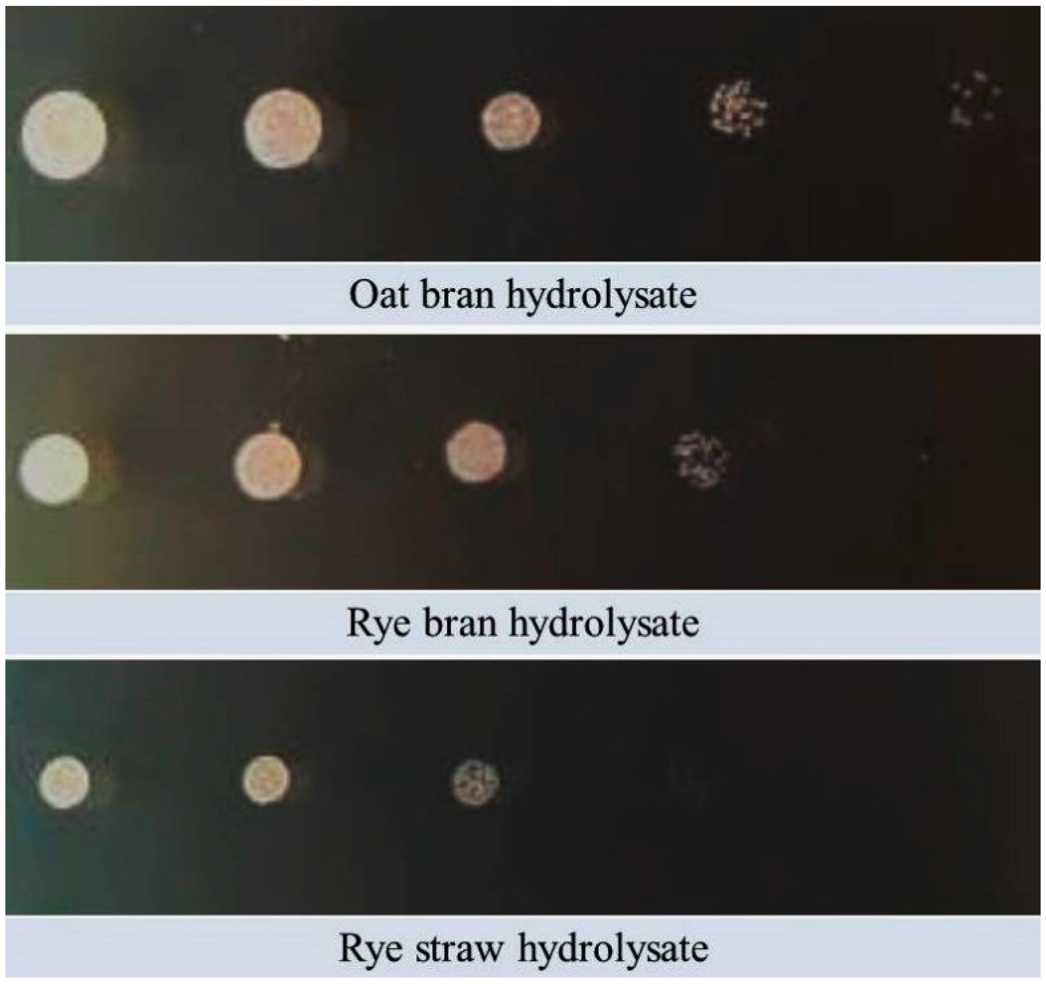 Sustainability 12 07704 g002