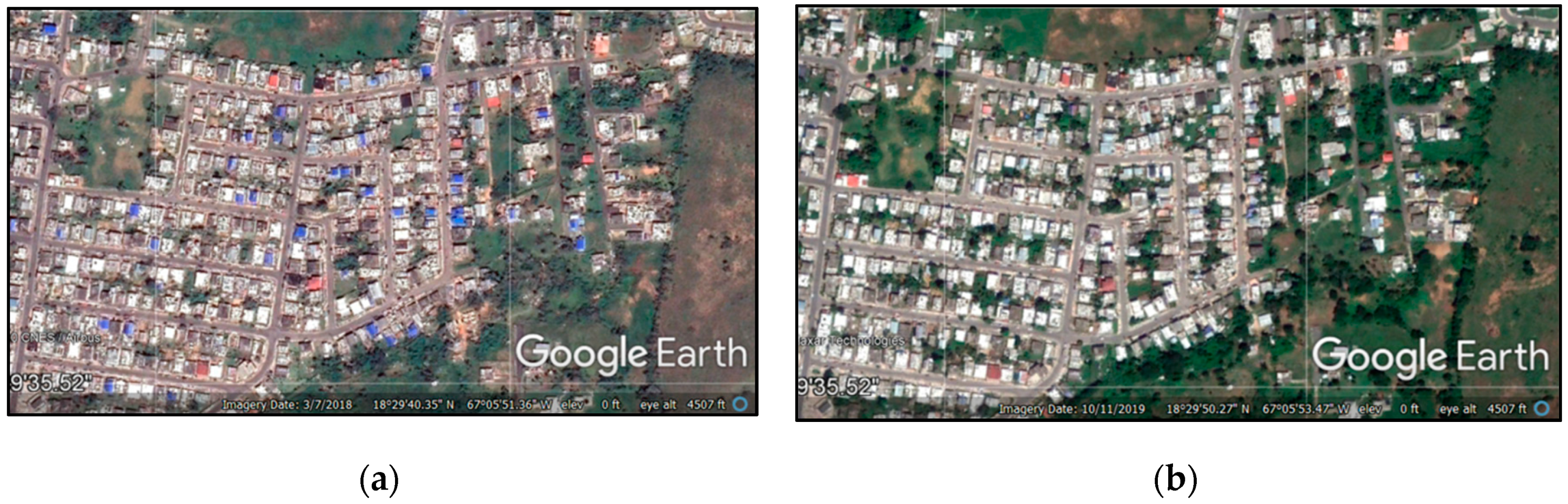 Sustainability 12 07718 g006