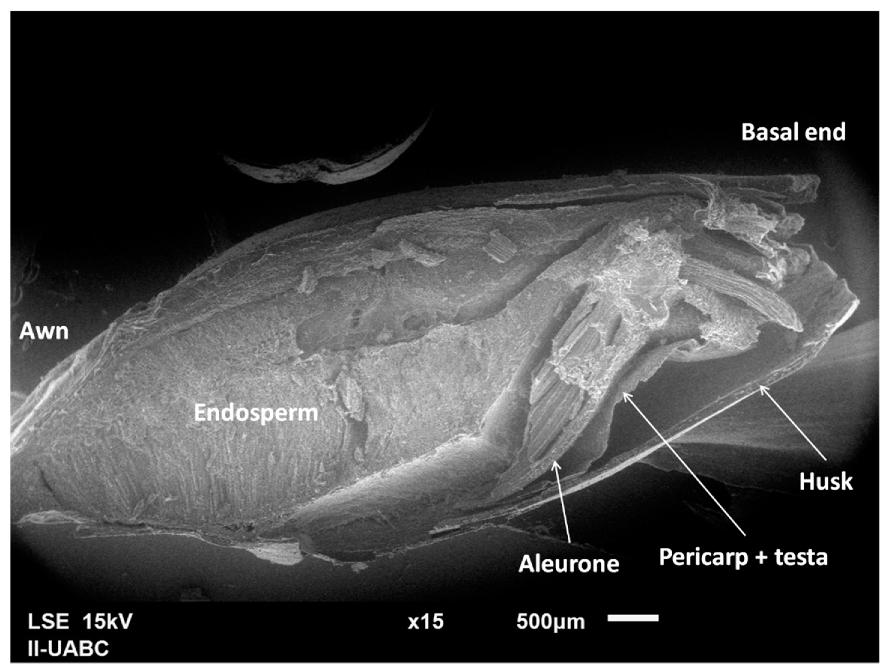 Sustainability 12 07744 g003 Sustainability 12 07744 g003