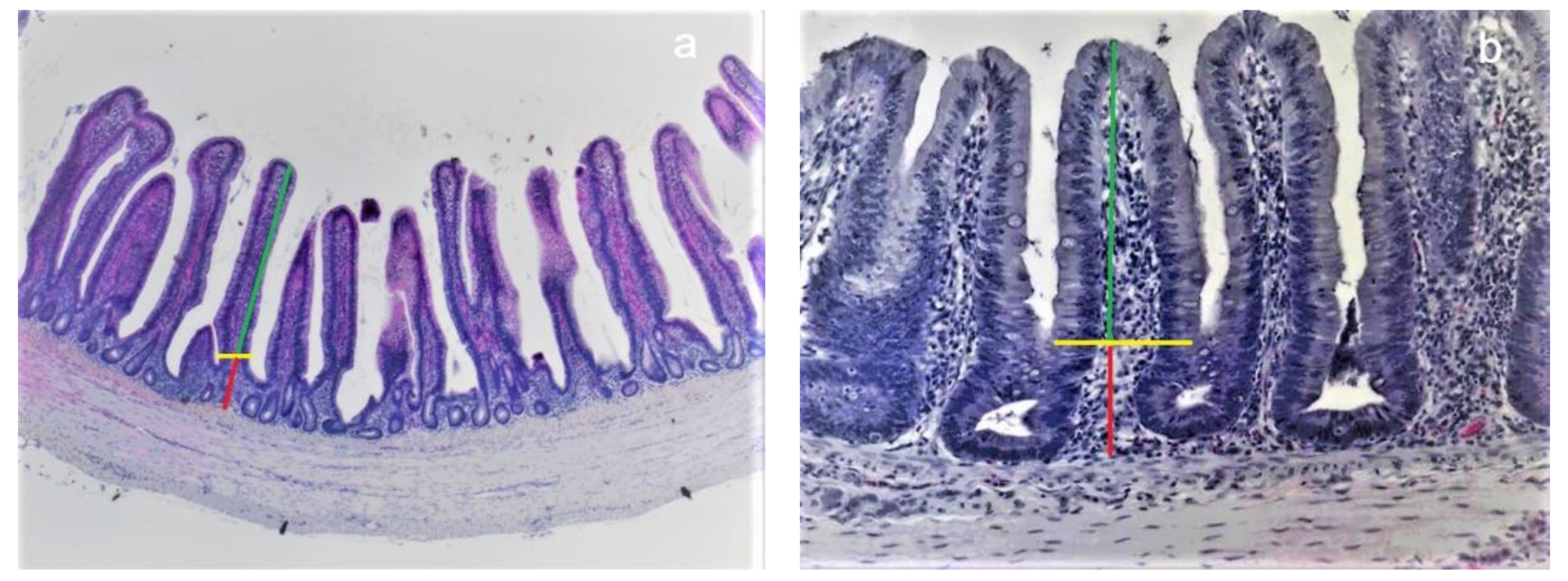 Sustainability 12 07753 g004 Sustainability 12 07753 g004