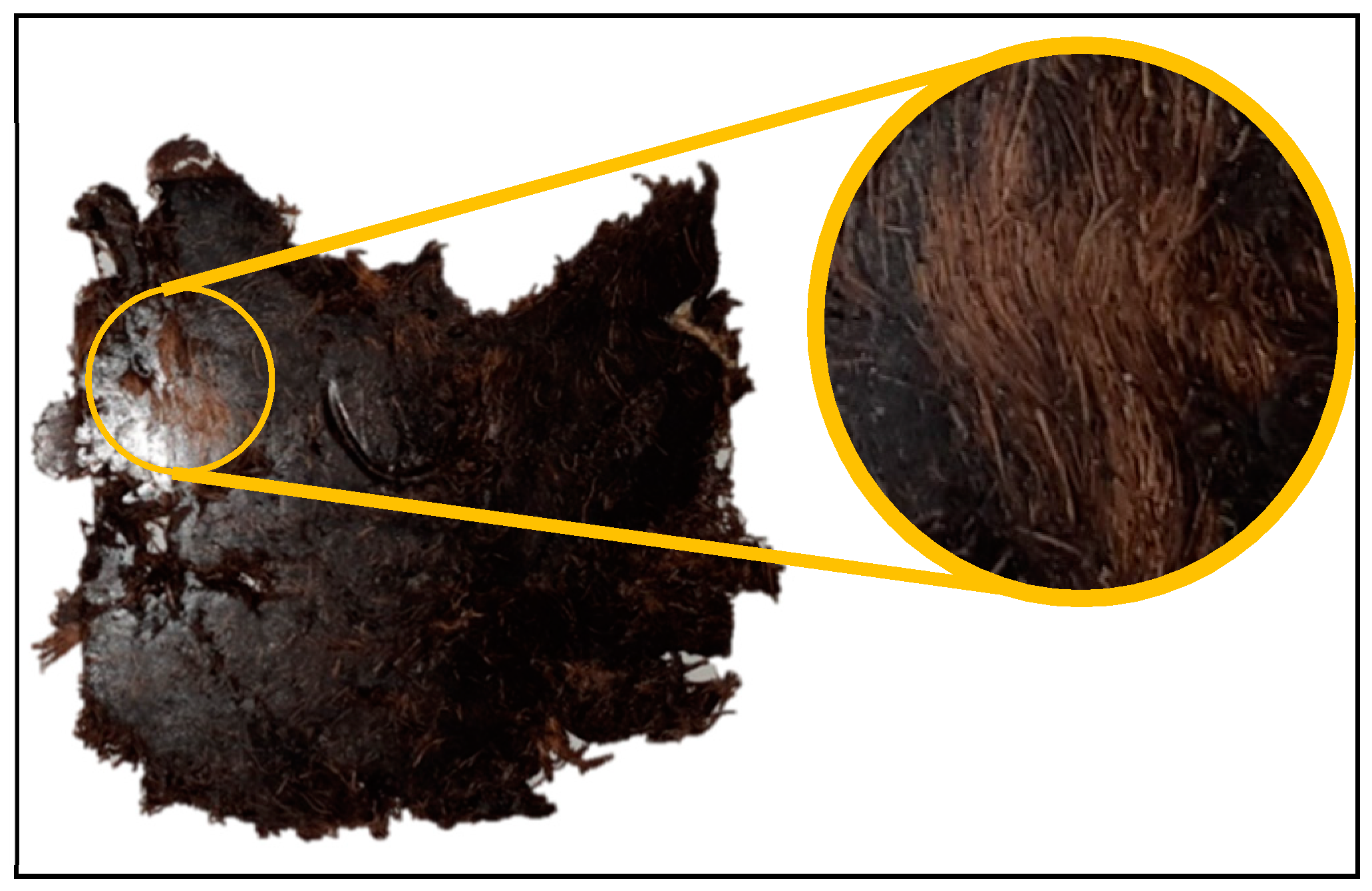 Sustainability 12 07838 g003 Sustainability 12 07838 g003