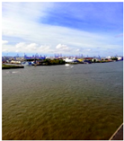 Sustainability 12 07859 i003