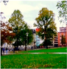 Sustainability 12 07859 i013