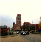 Sustainability 12 07859 i021