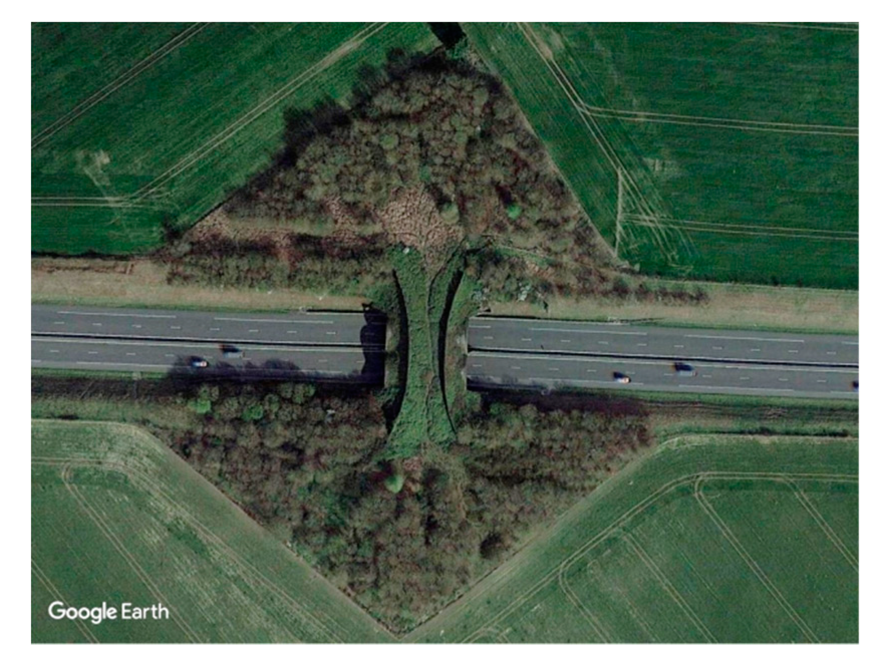 Sustainability 12 07866 g005