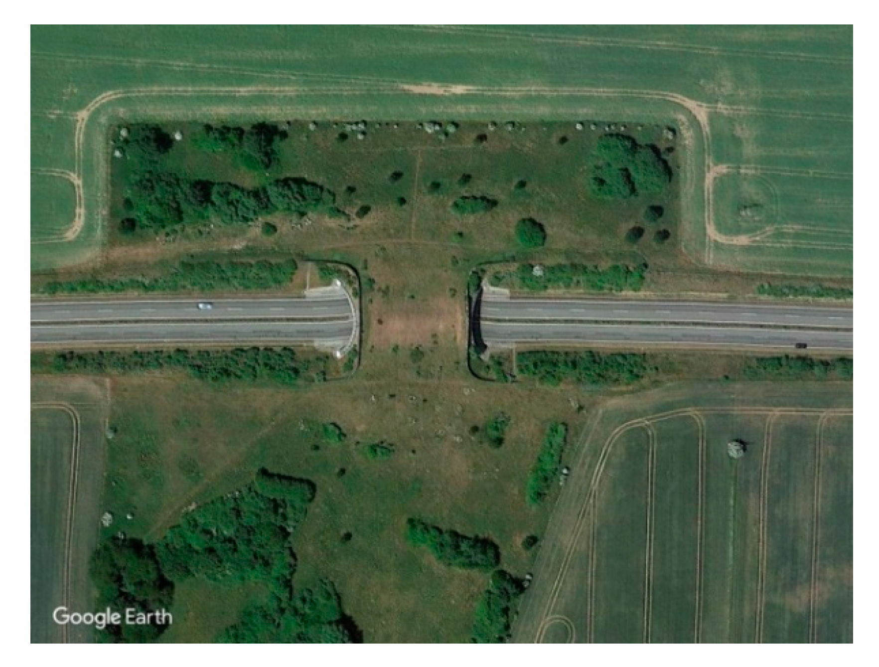 Sustainability 12 07866 g006