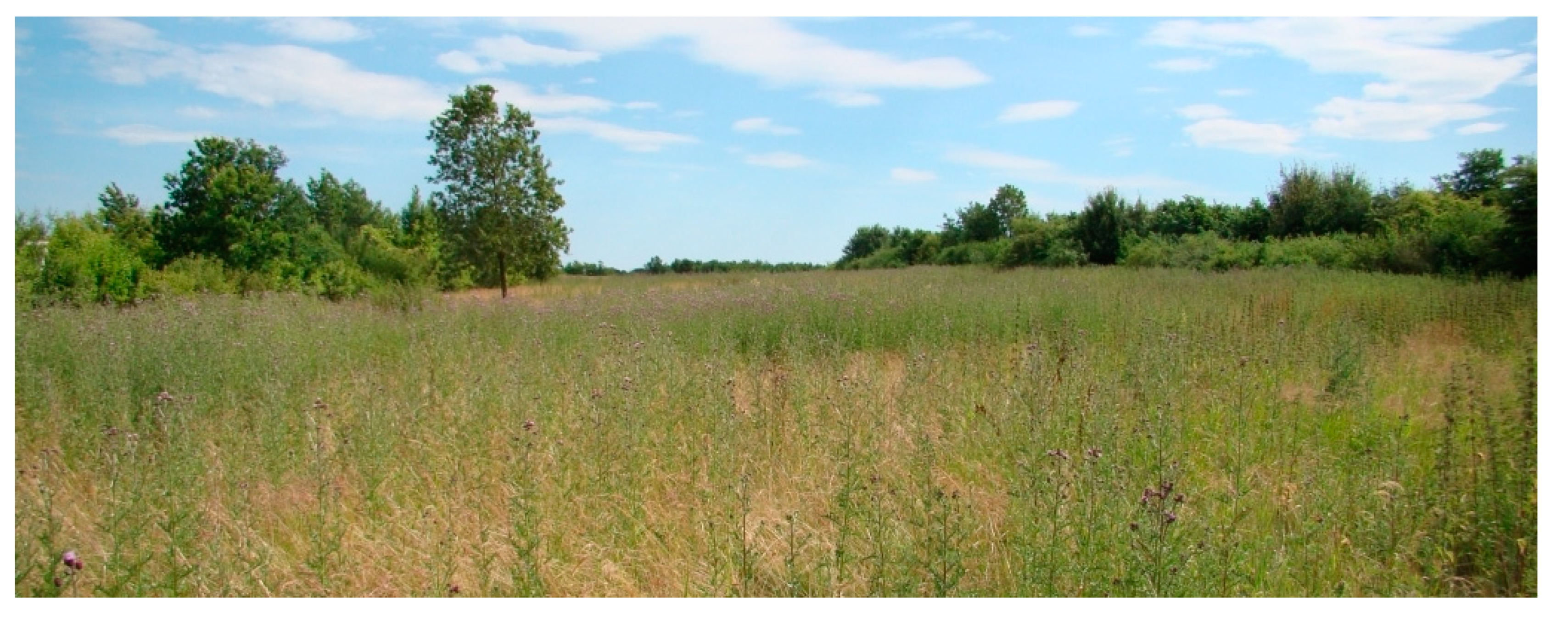 Sustainability 12 07866 g022