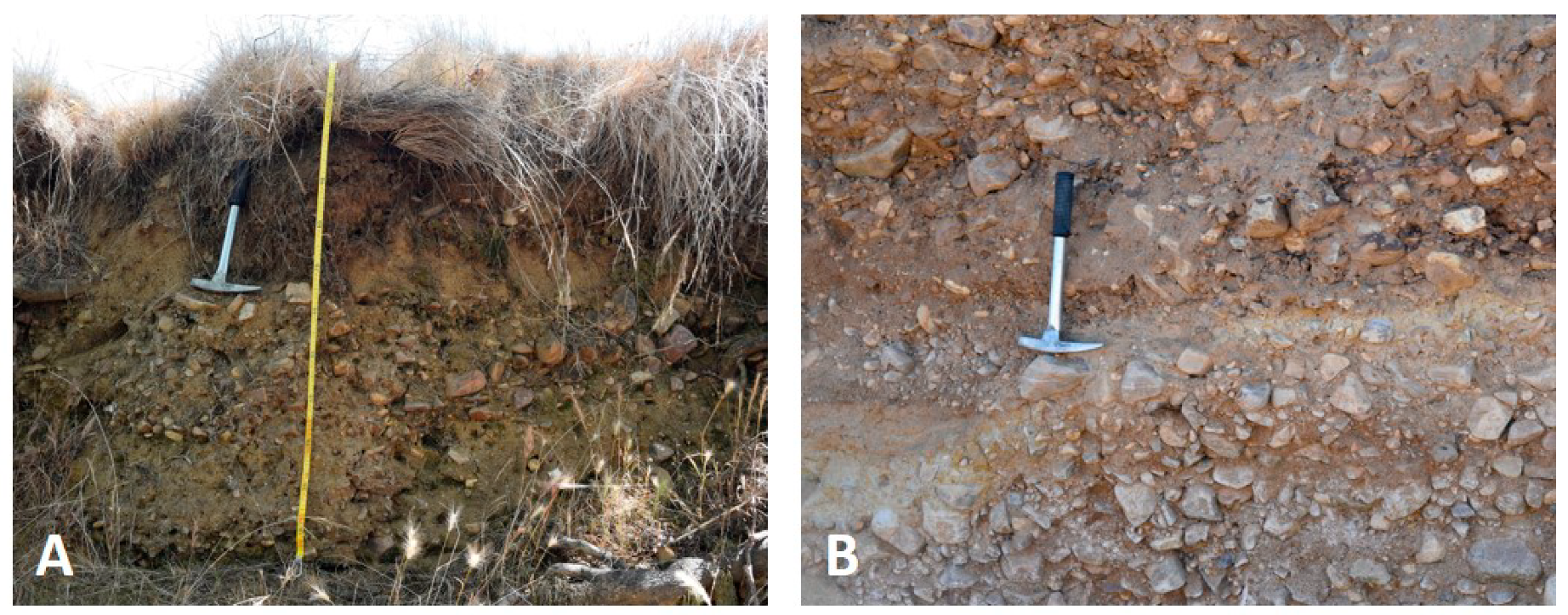 Sustainability 12 07869 g005 Sustainability 12 07869 g005