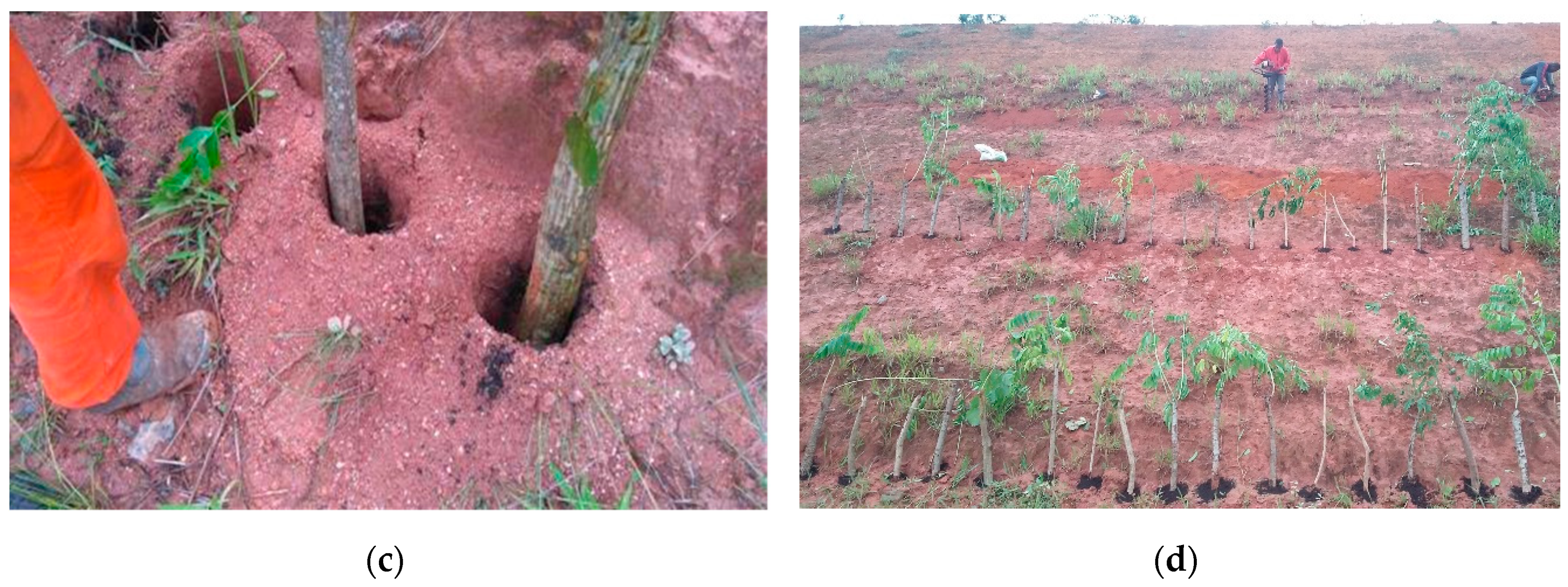 Sustainability 12 07886 g0a1b Sustainability 12 07886 g0a1b