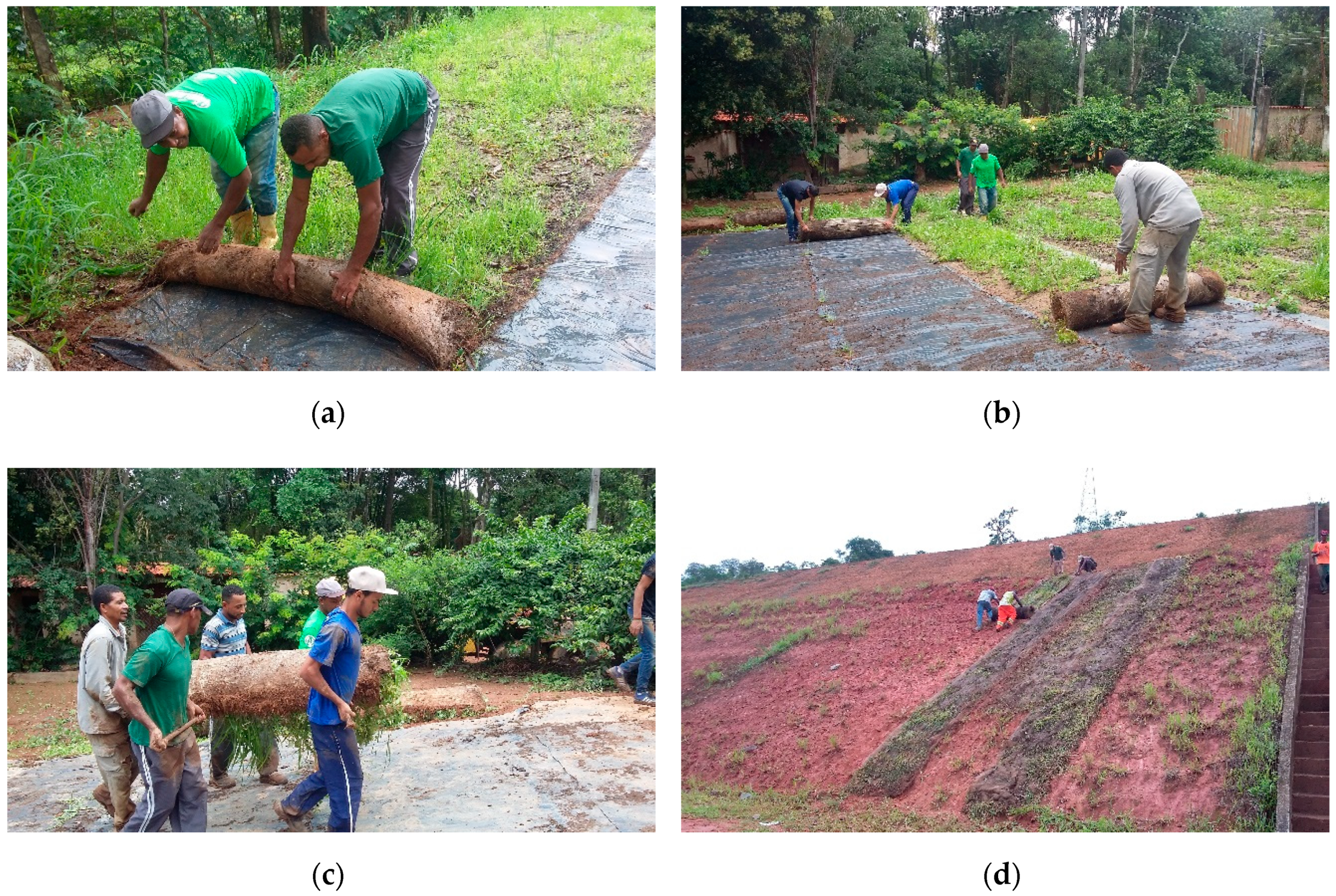 A Practical Guide for Erosion Control Biotechnical and Soil Bioengineering Slope Stabilization