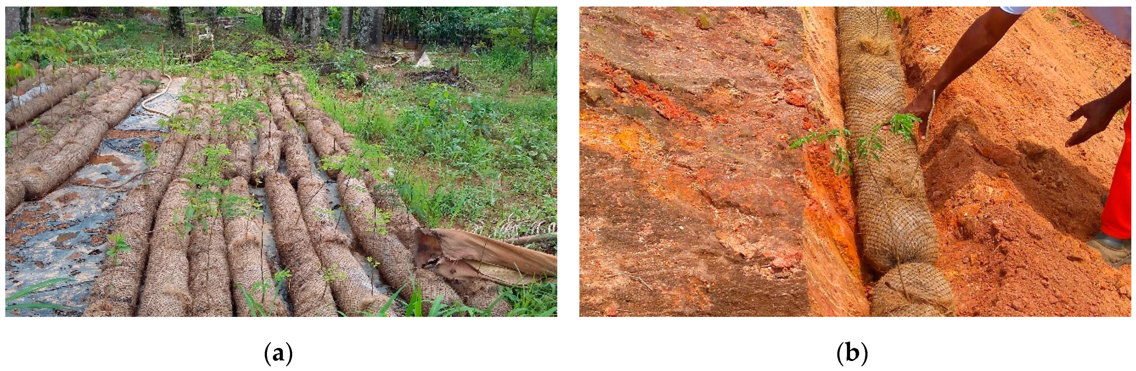 Sustainability 12 07886 g0a3 Sustainability 12 07886 g0a3