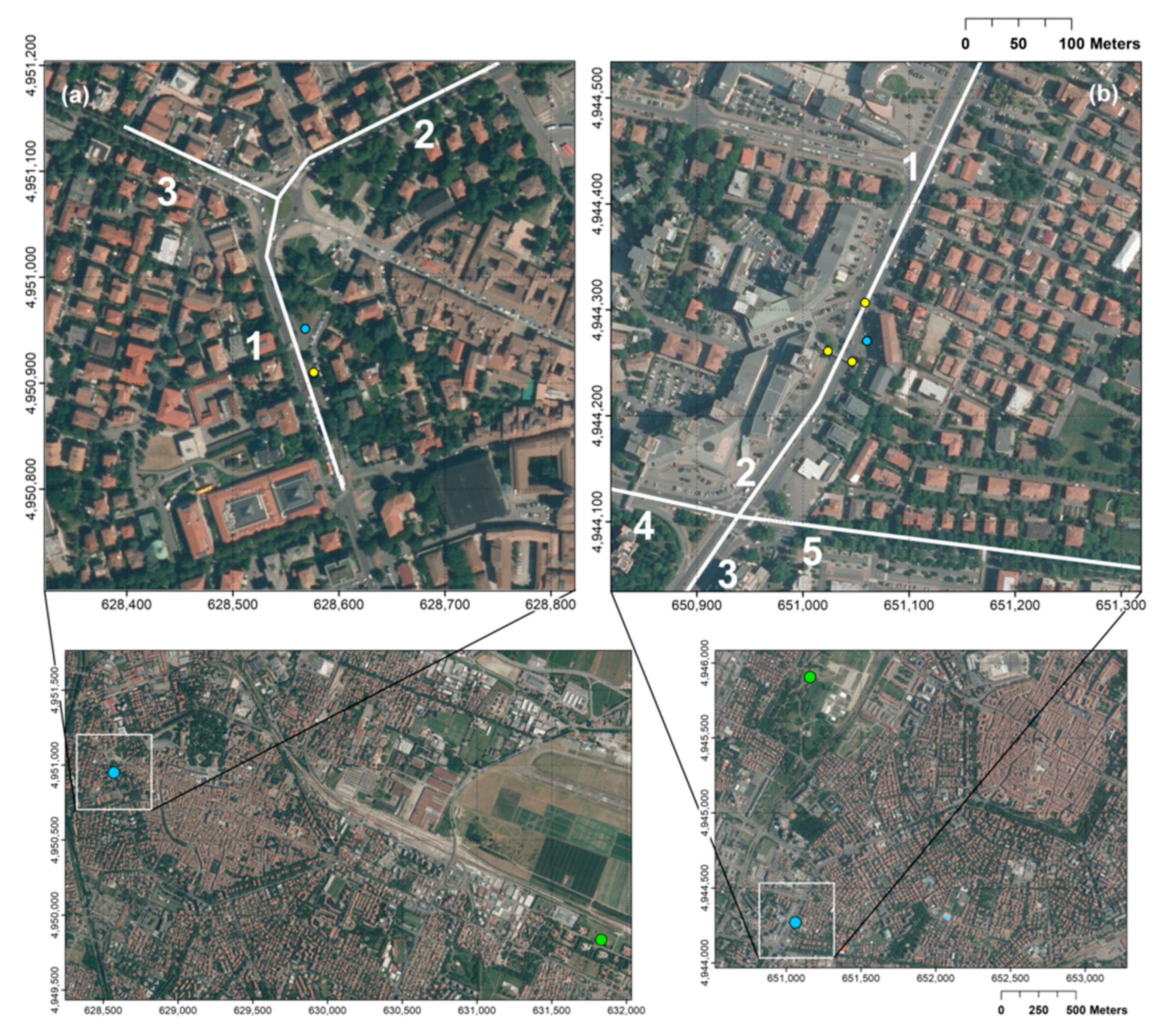 Sustainability 12 07897 g001